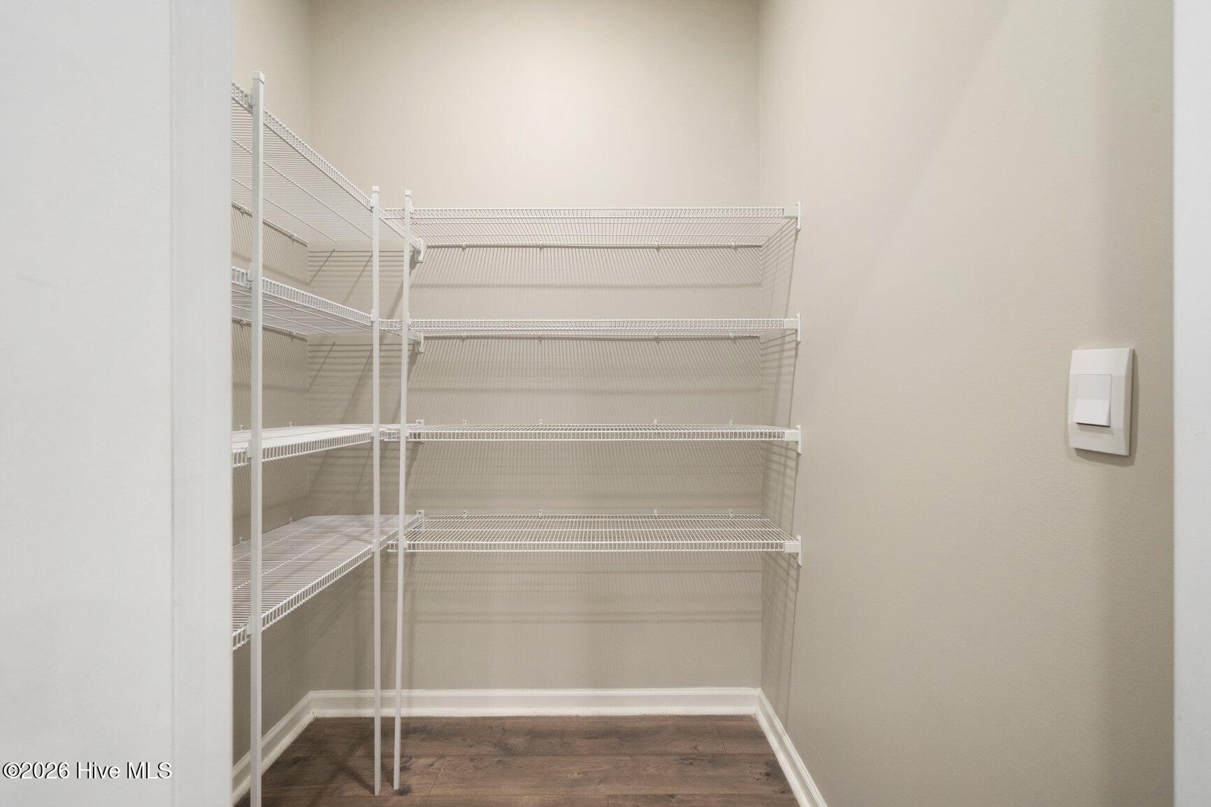 Wow! Huge Walk -In Pantry
