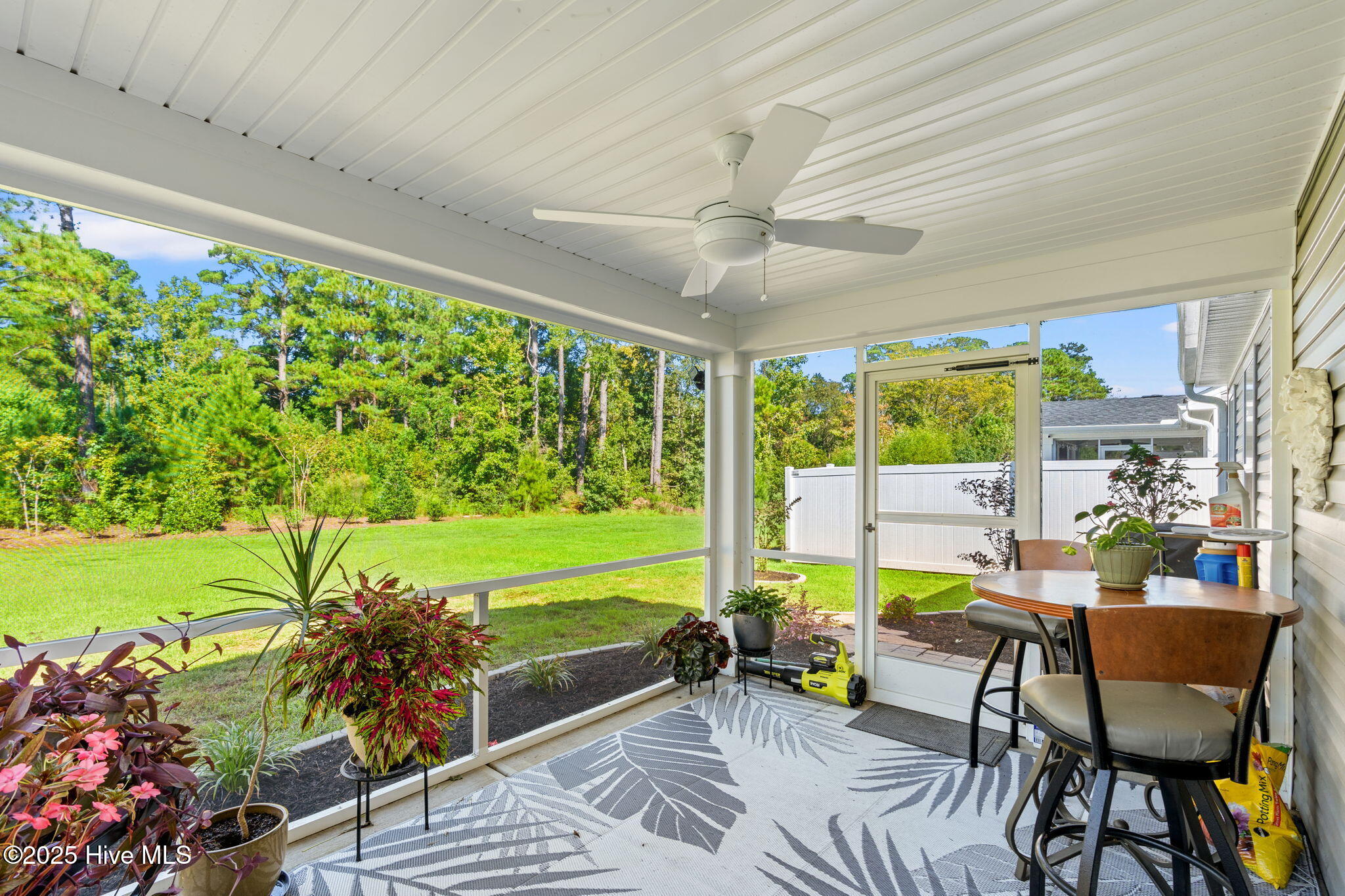 100537492 | Photo 19