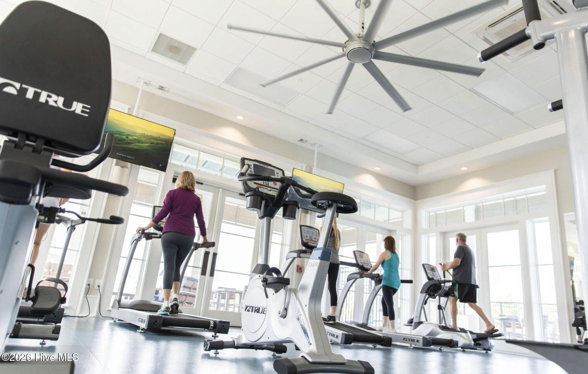 100551169 | Photo 38