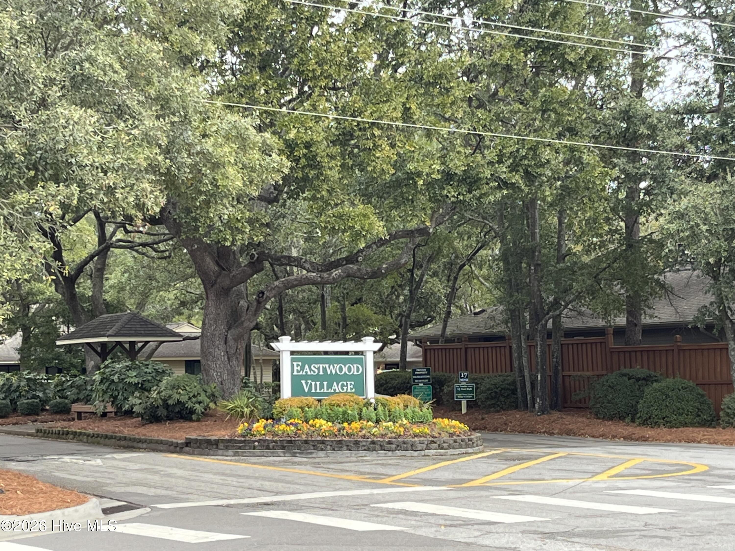 100556332 | Photo 29