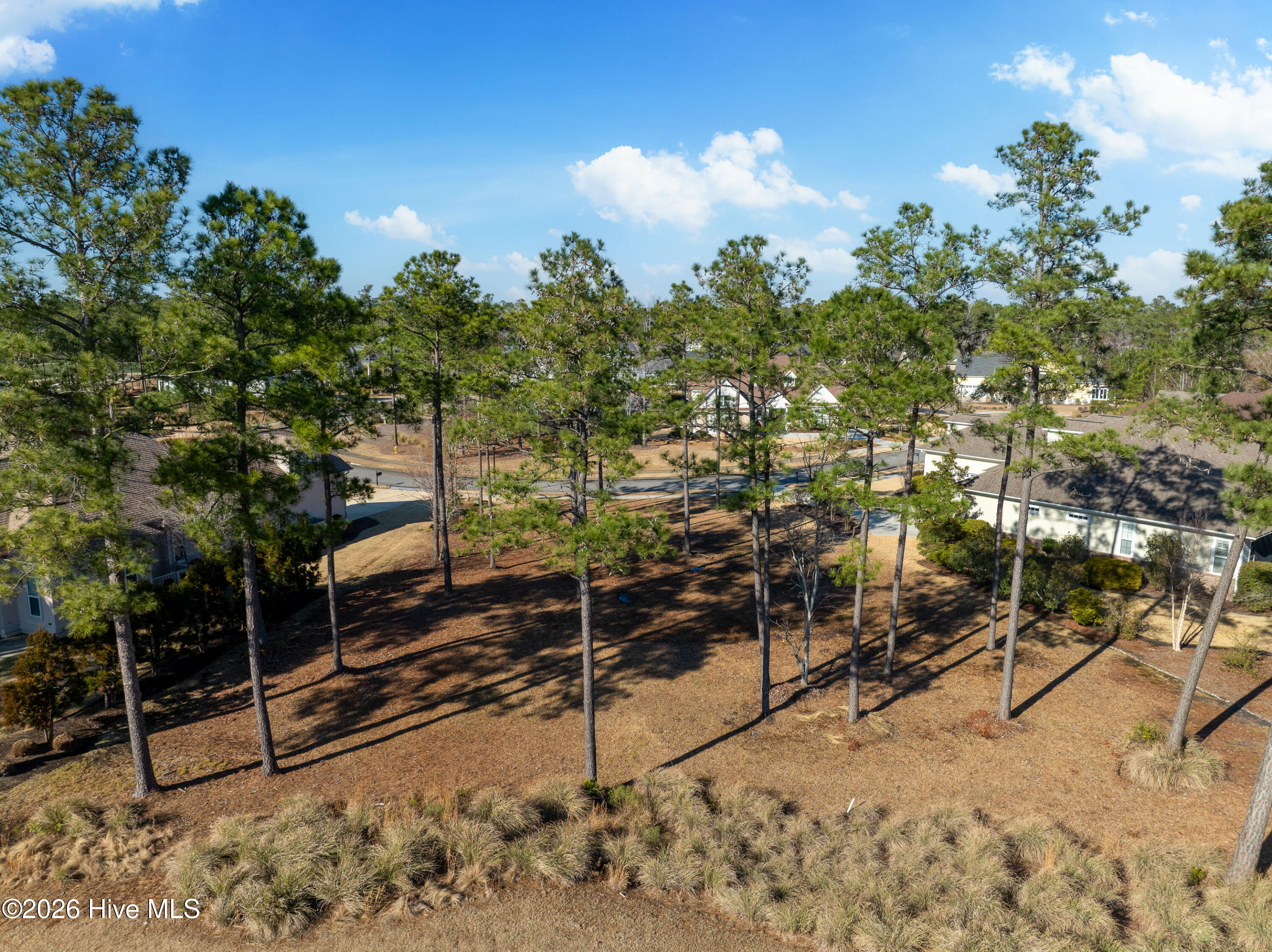 100557146 | Photo 34