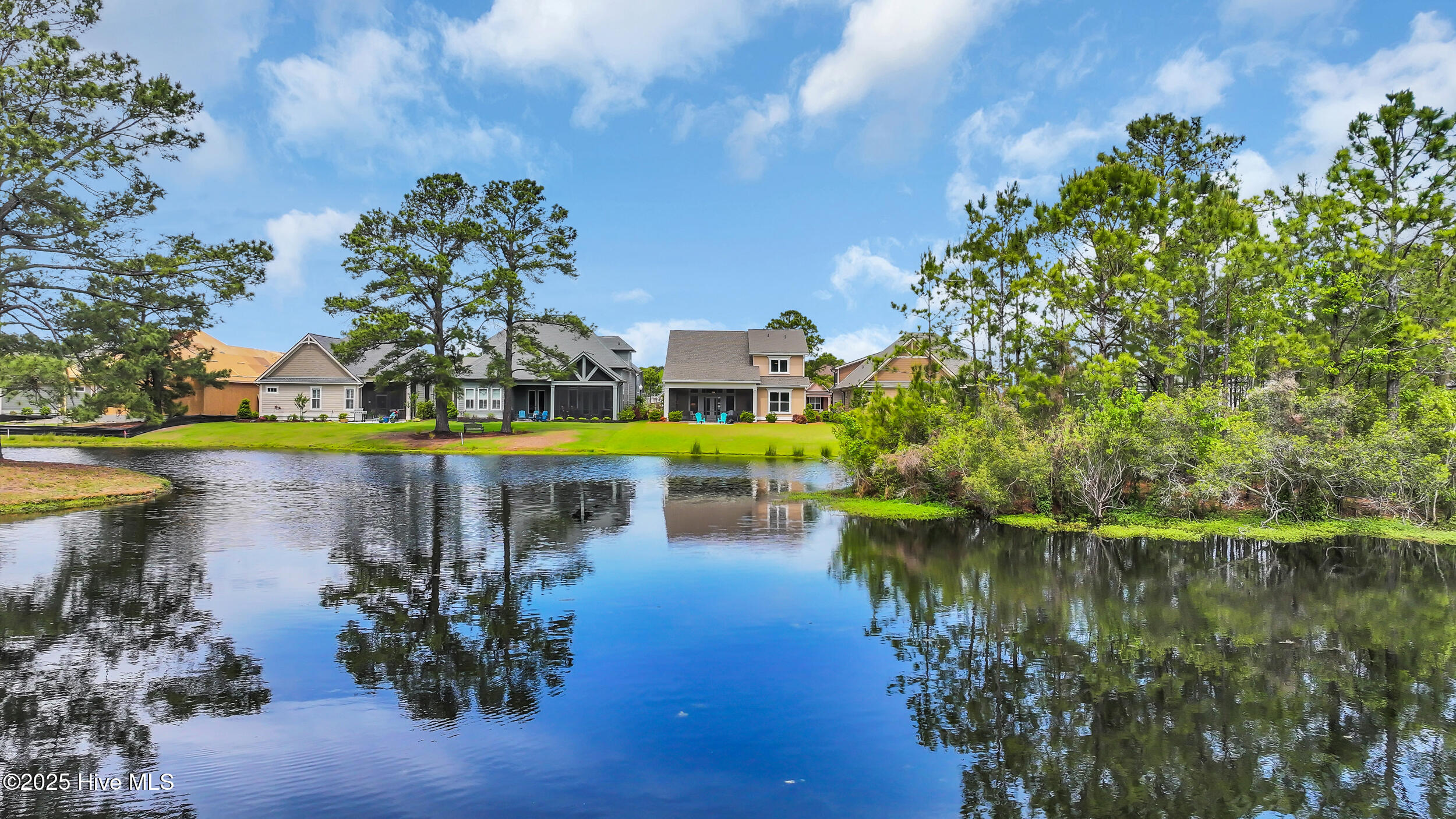 100502745 | Photo 41