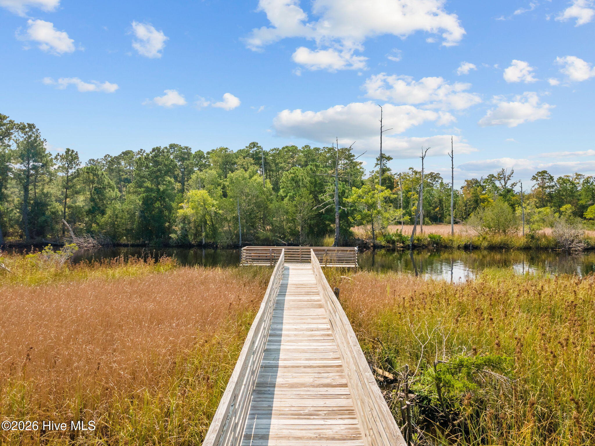Shirley Johnson - MLS Number: 100576077