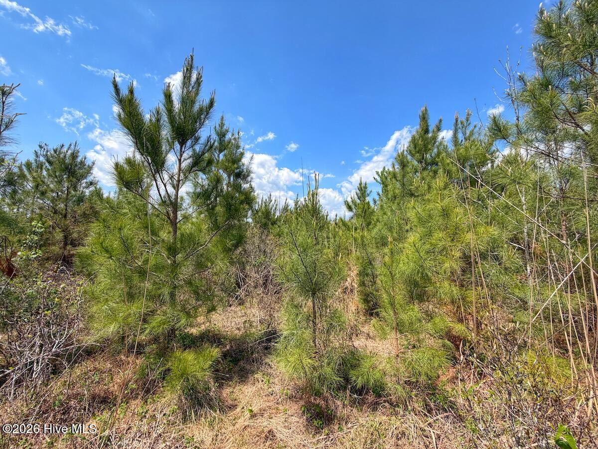 0 Guinea Mill Road, Ernul, NC, 28527