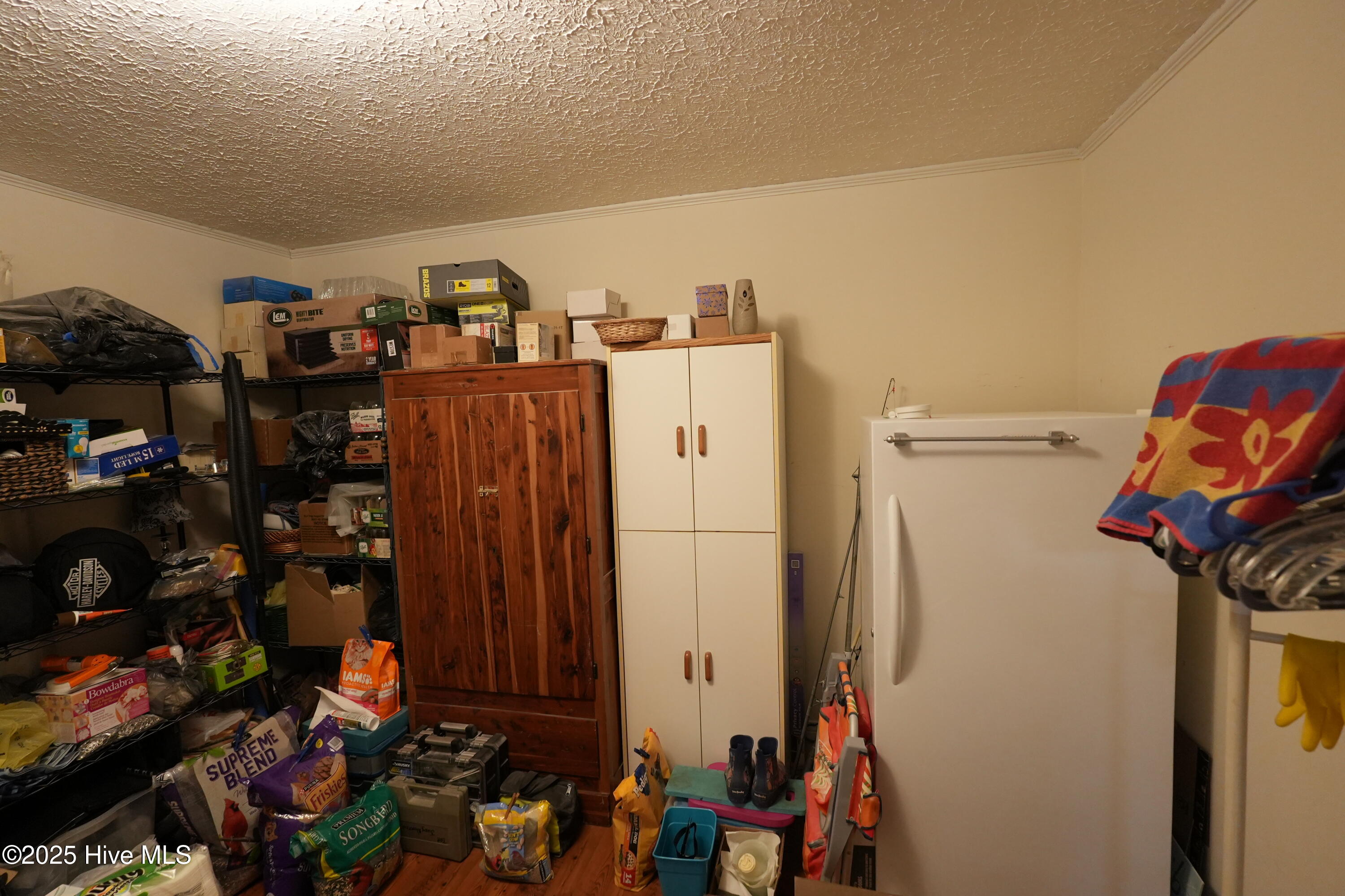 100534427 | Photo 11