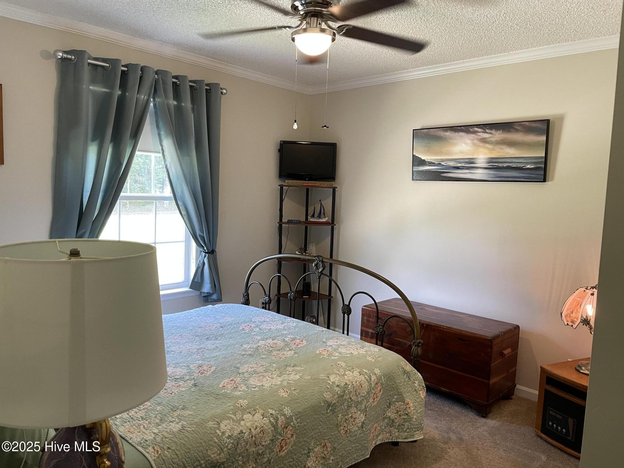 1194 Willeyton Road, Gates, NC, 27937