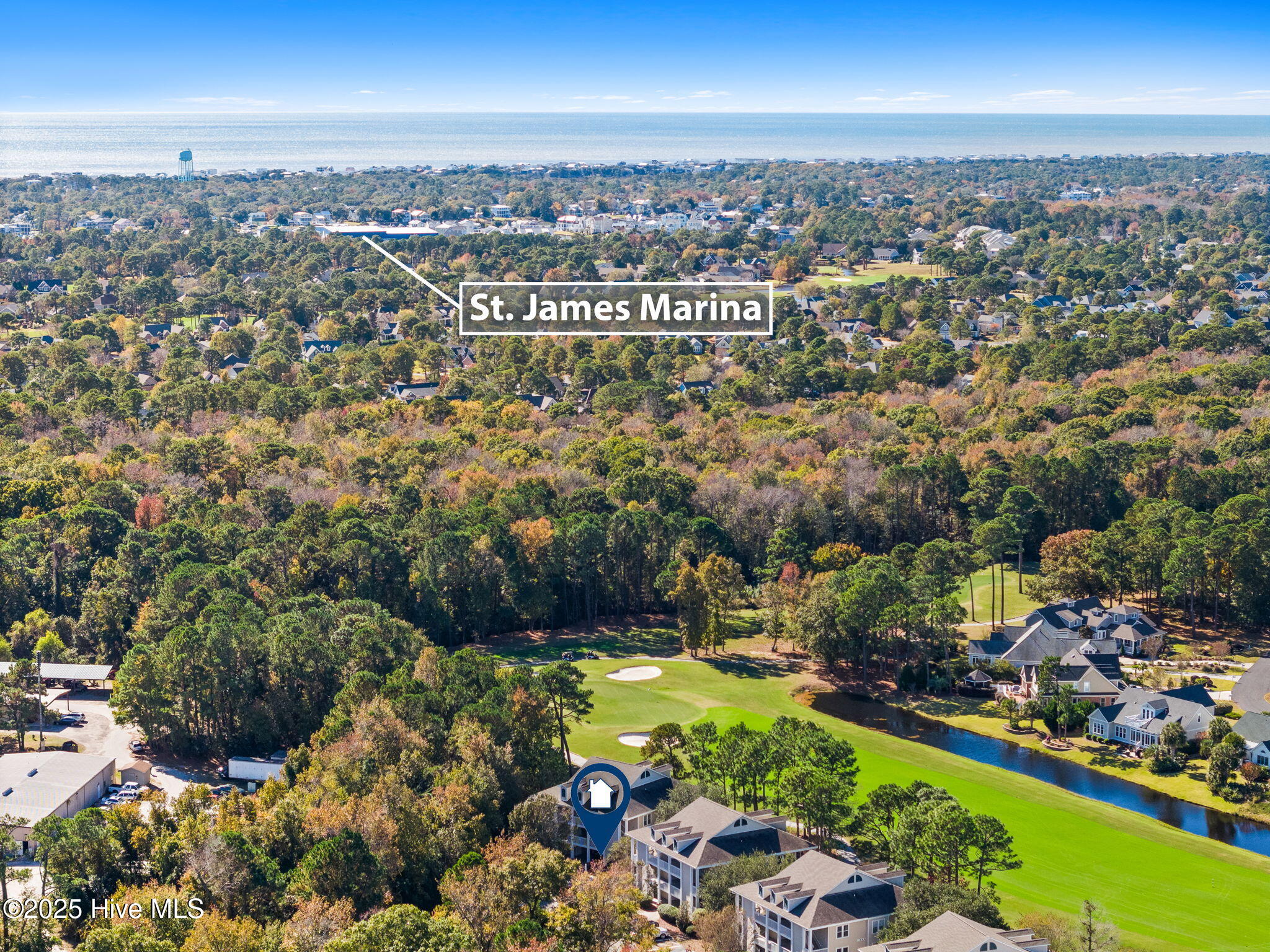 100543125 | Photo 42