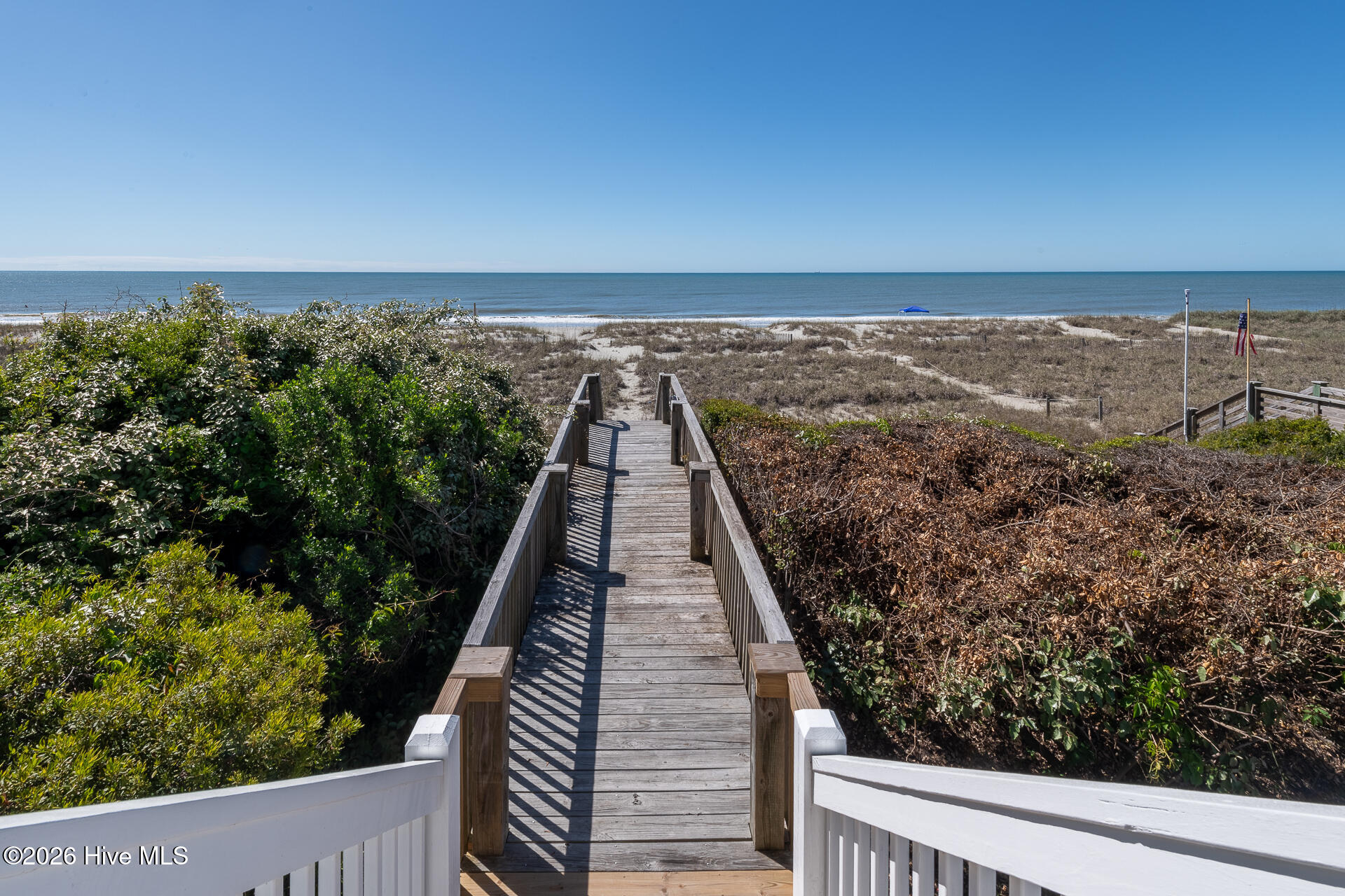 100568096 | Photo 59