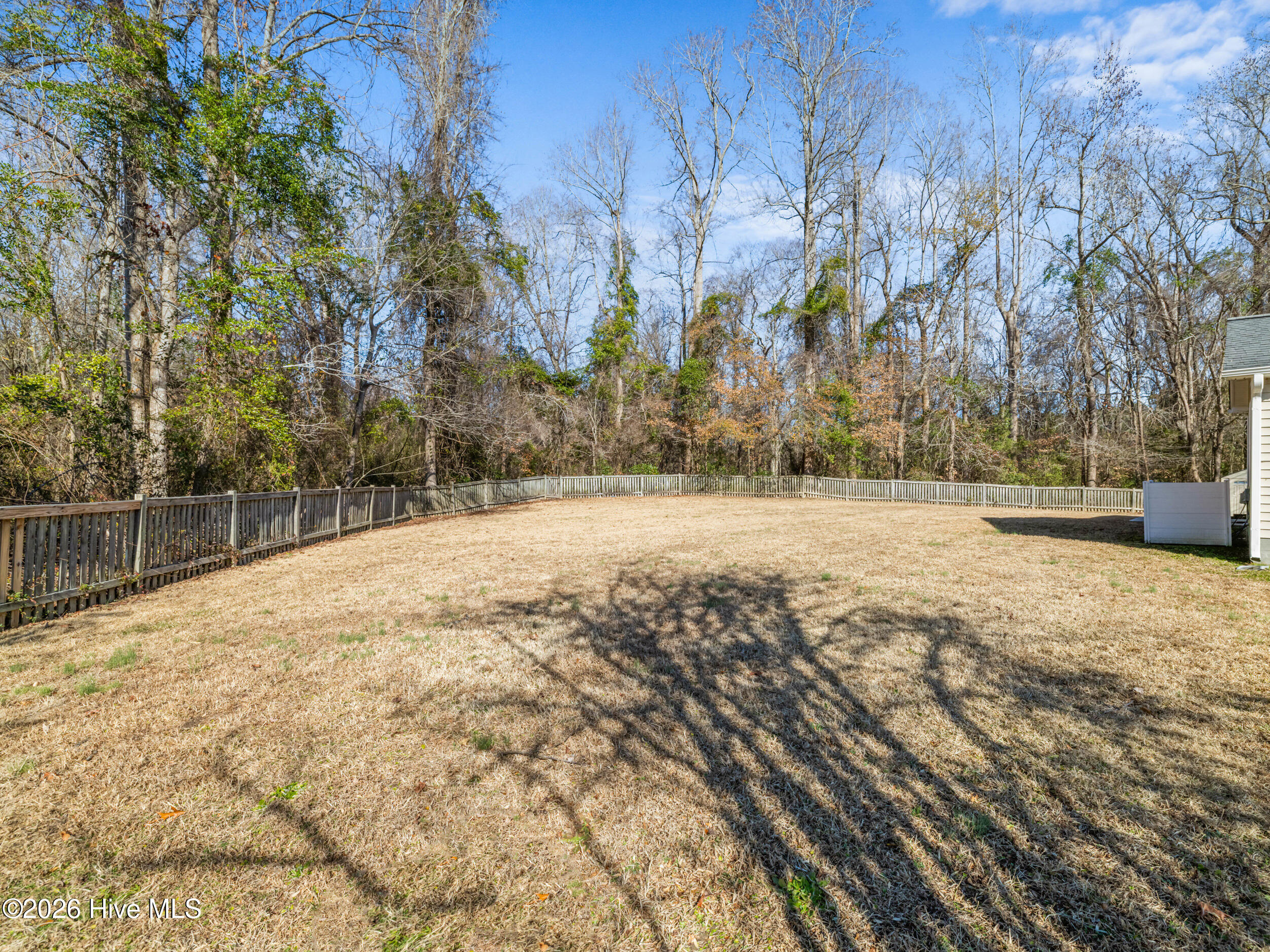 100547559 | Photo 42