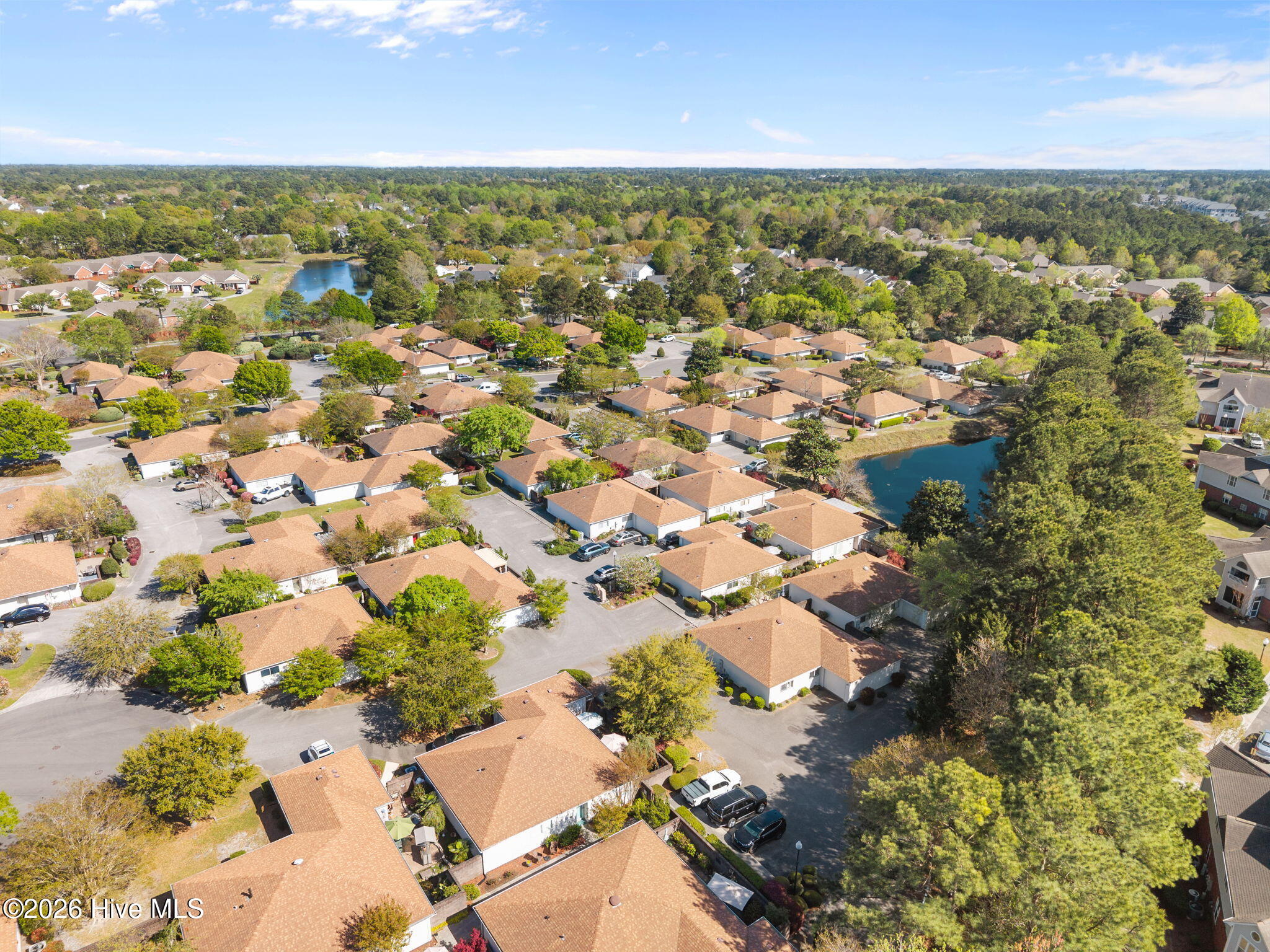 100564364 | Photo 51