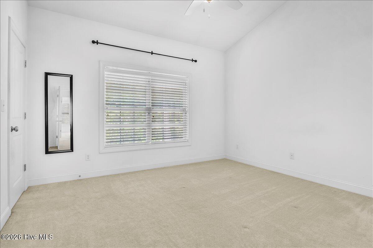 100567223 | Photo 19