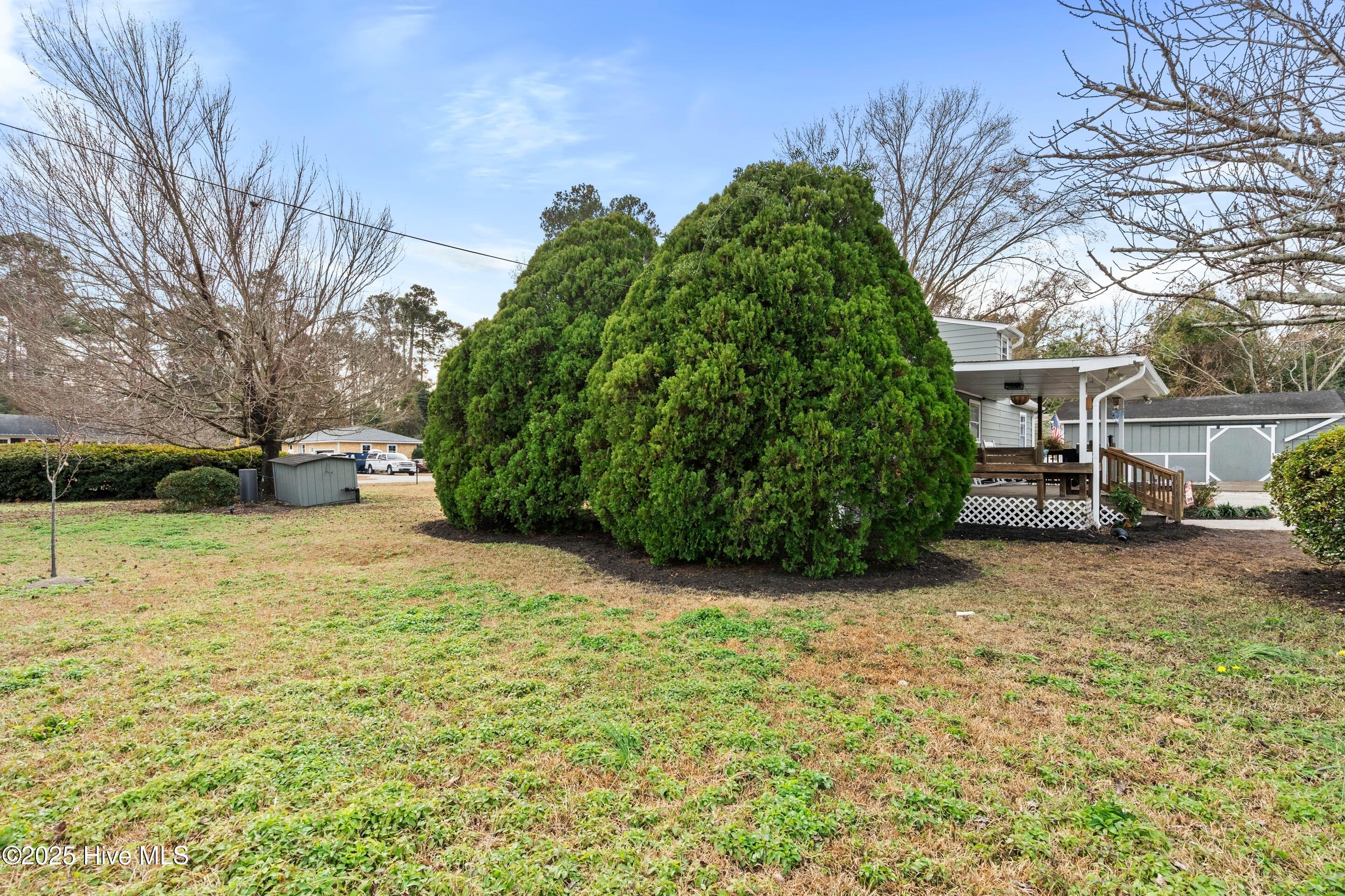 100546242 | Photo 43