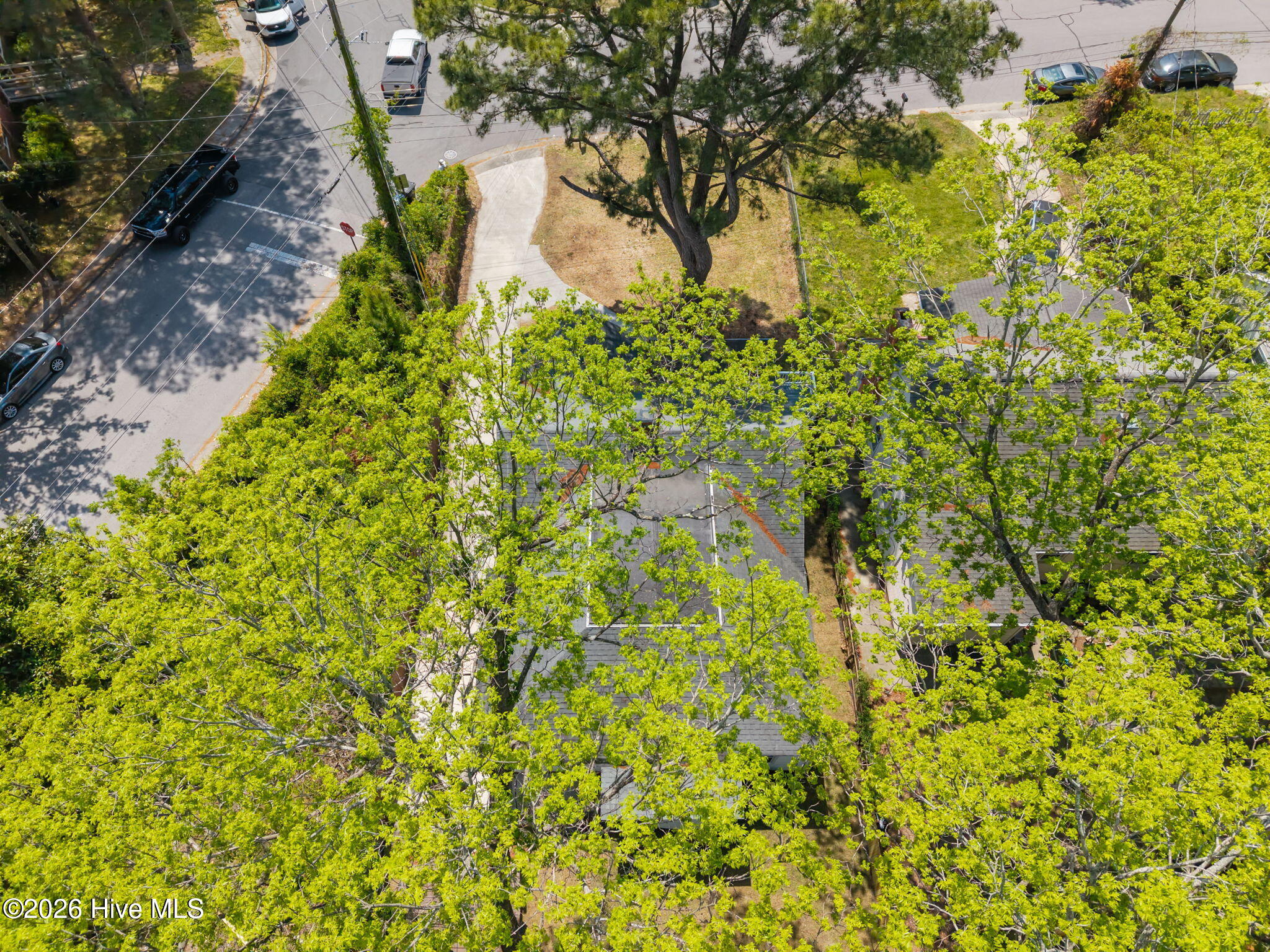 100568668 | Photo 43