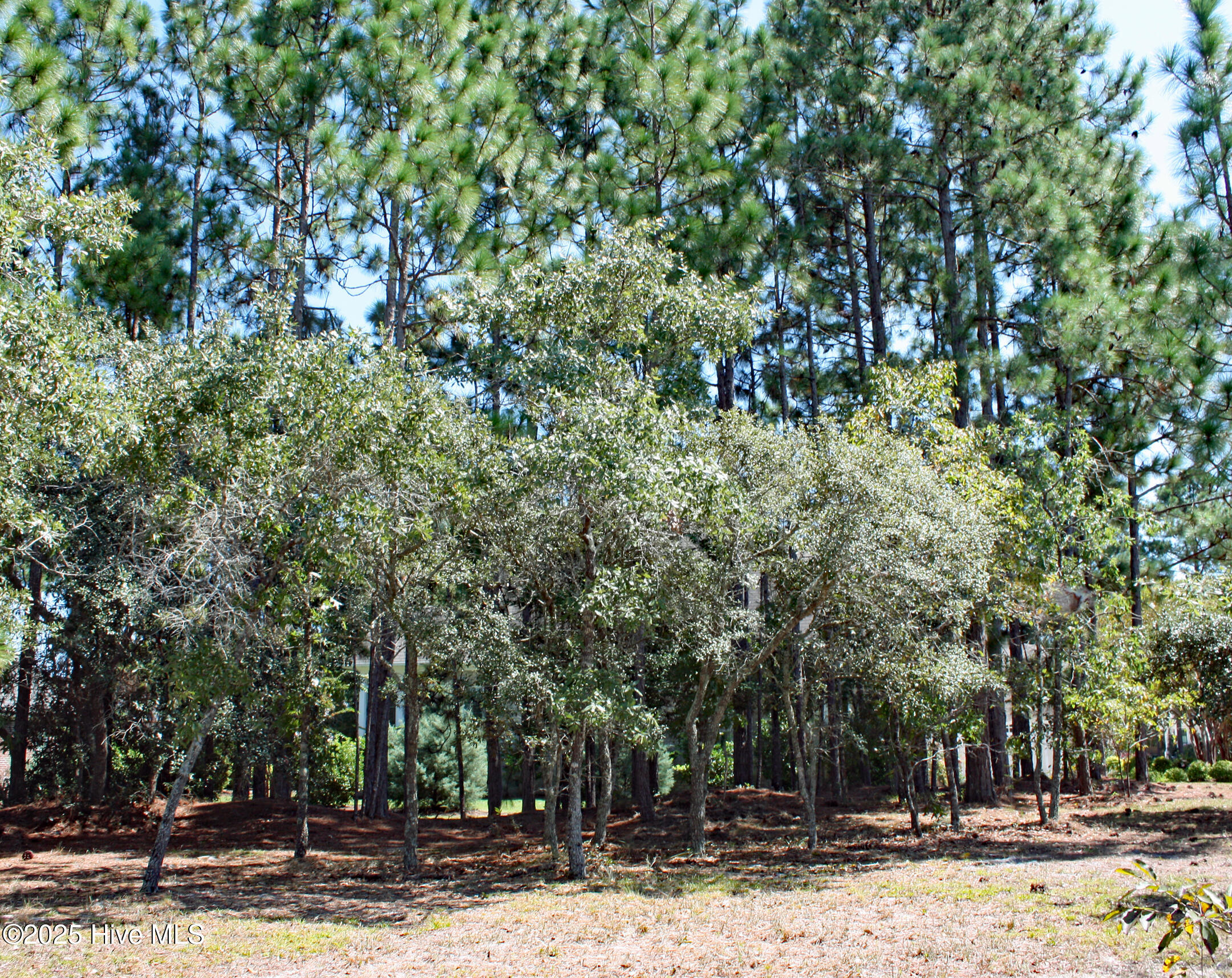 Homes for sale in Ocean Isle Beach, NC | 6452 Kirkwall Pt Sw, Ocean Isle Beach, NC 28469 | MLS# 100551469