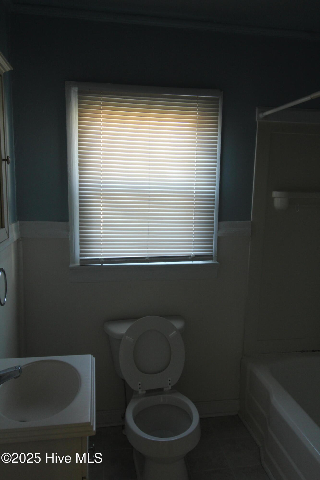 100539657 | Photo 11