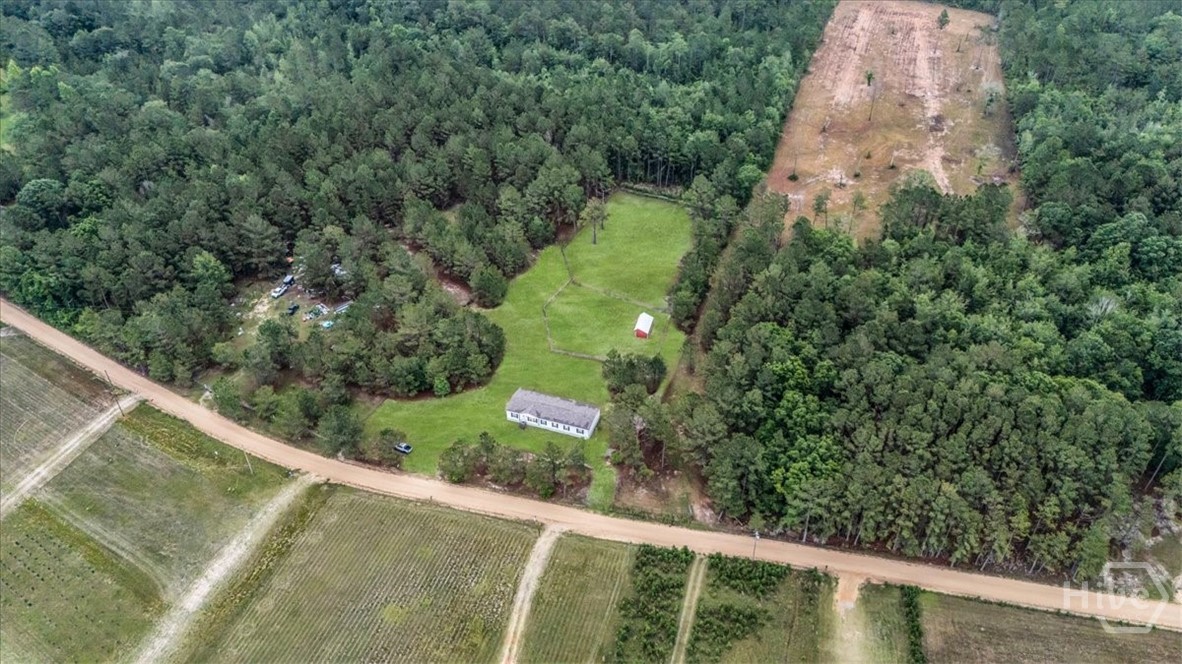 750 NE S T Morris Road, Ludowici, GA 31316 Listing Photo  38