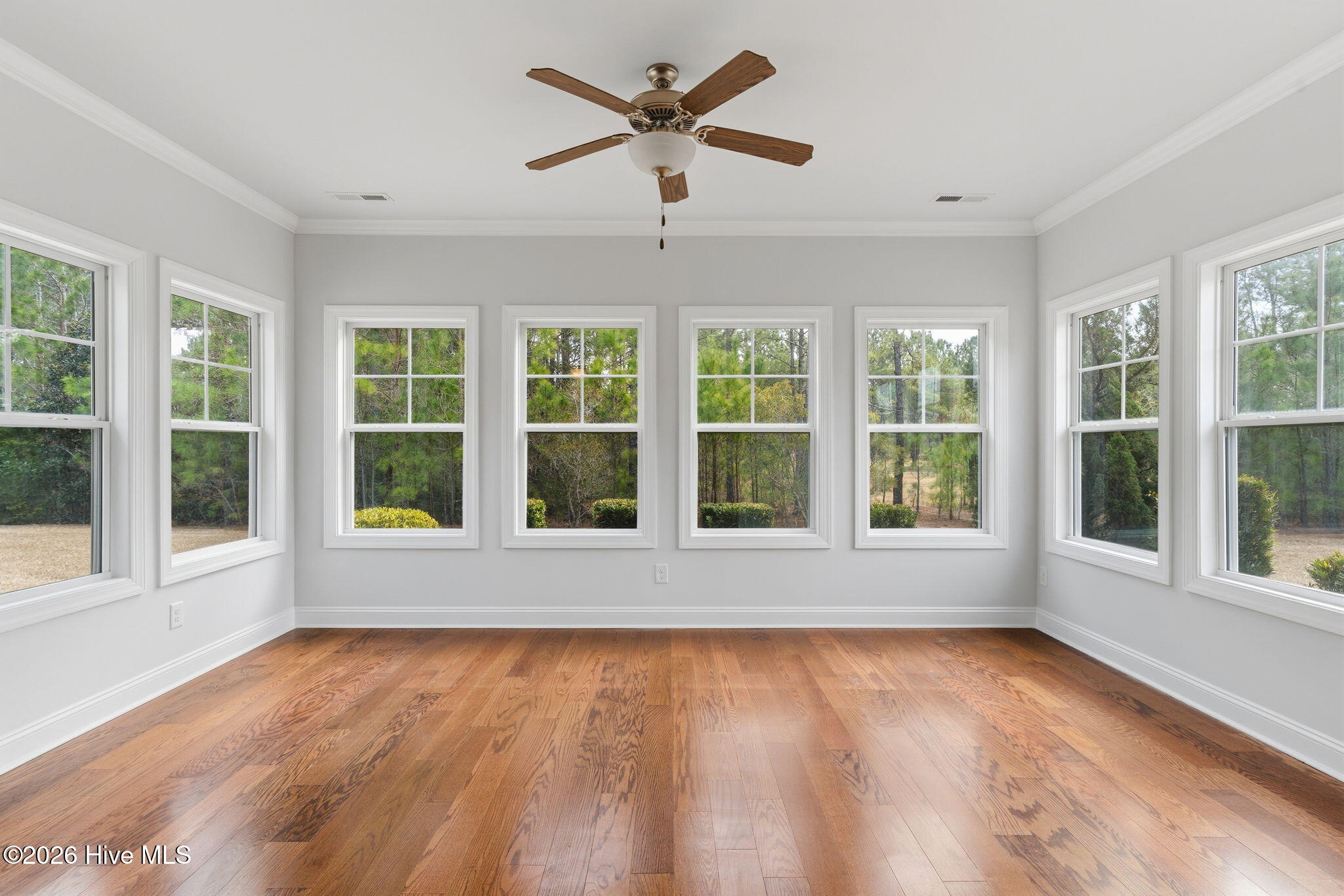 100558174 | Photo 15