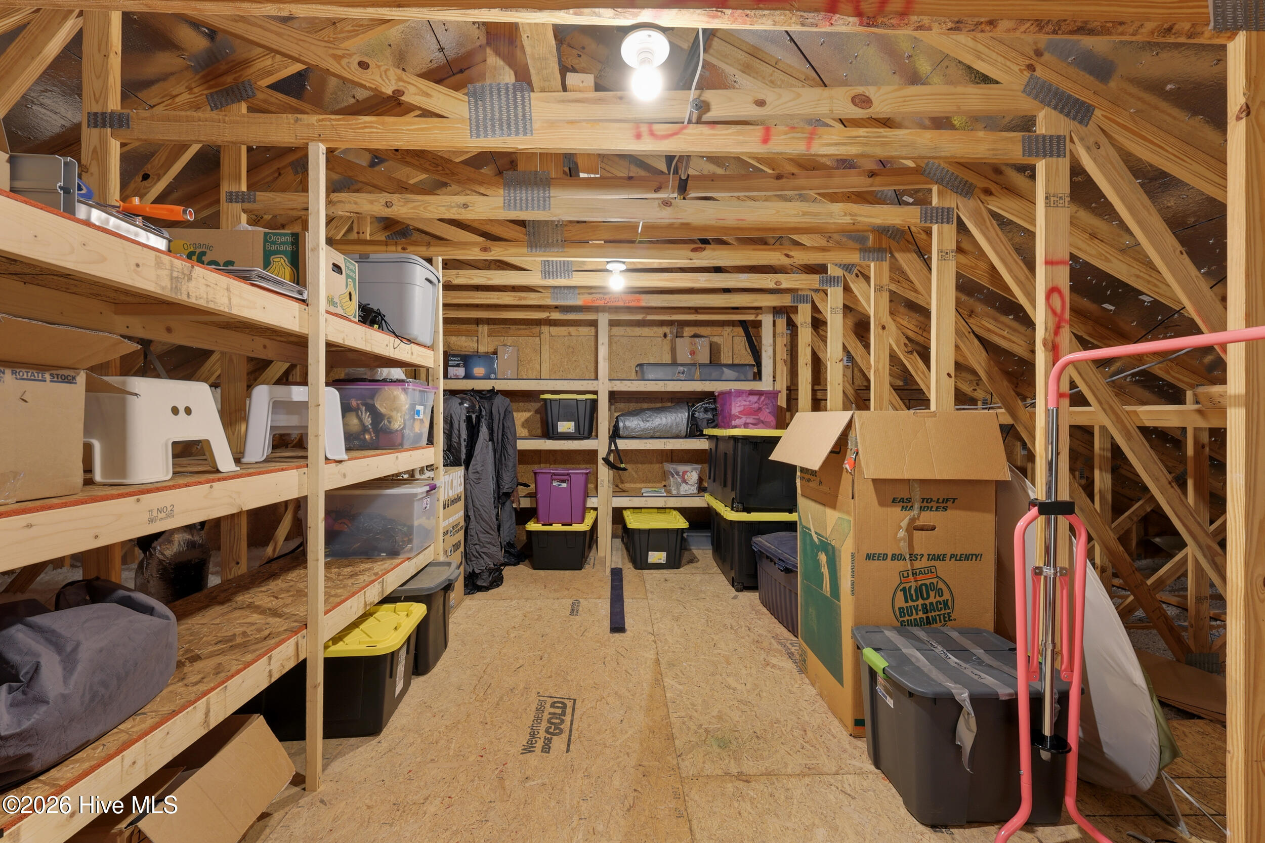 100553163 | Photo 39