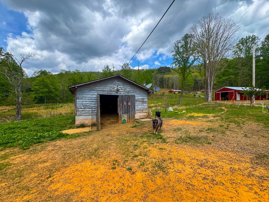 3325 Pack Mountain Road, Murphy, NC 28906 Listing Photo  45