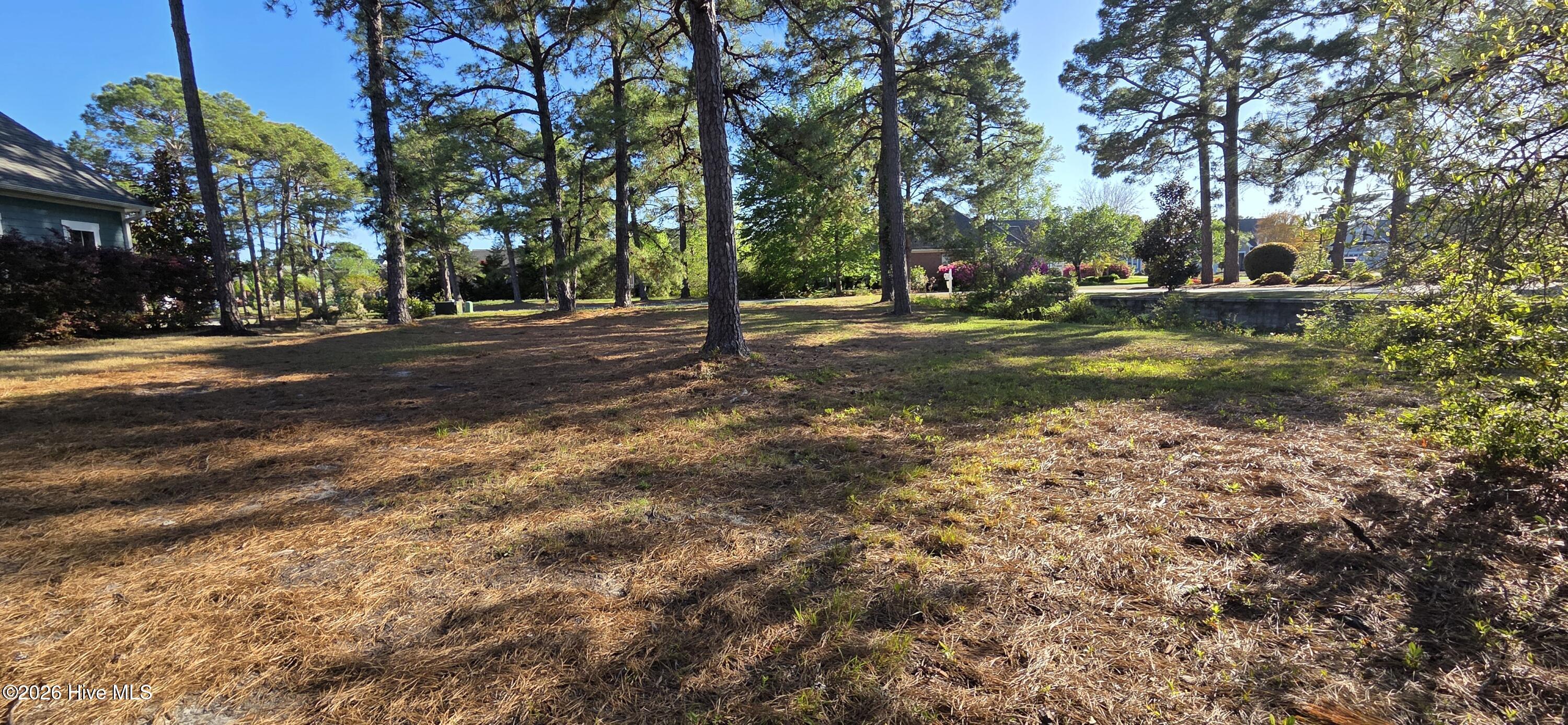 100566428 | Photo 11