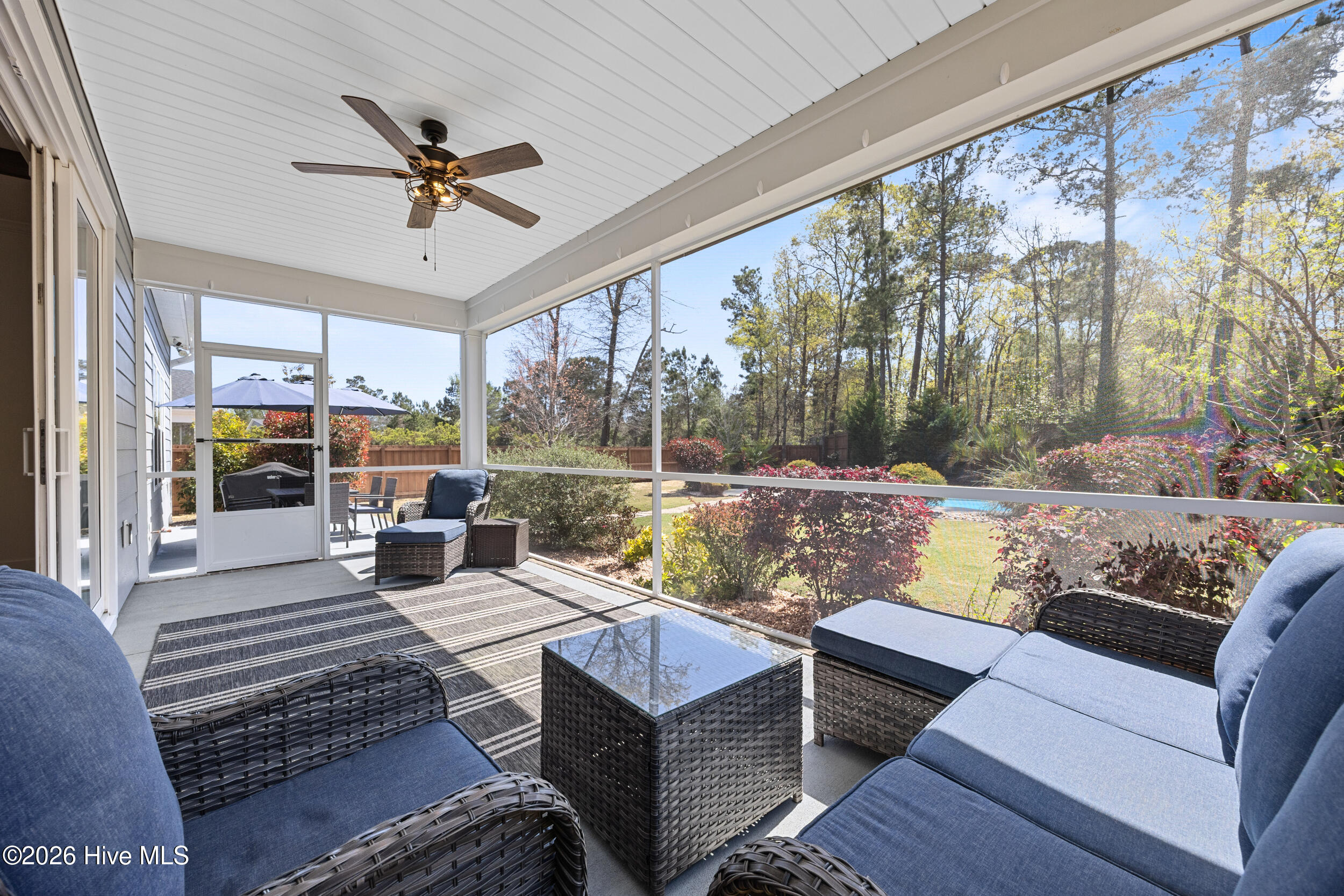 100564447 | Photo 38