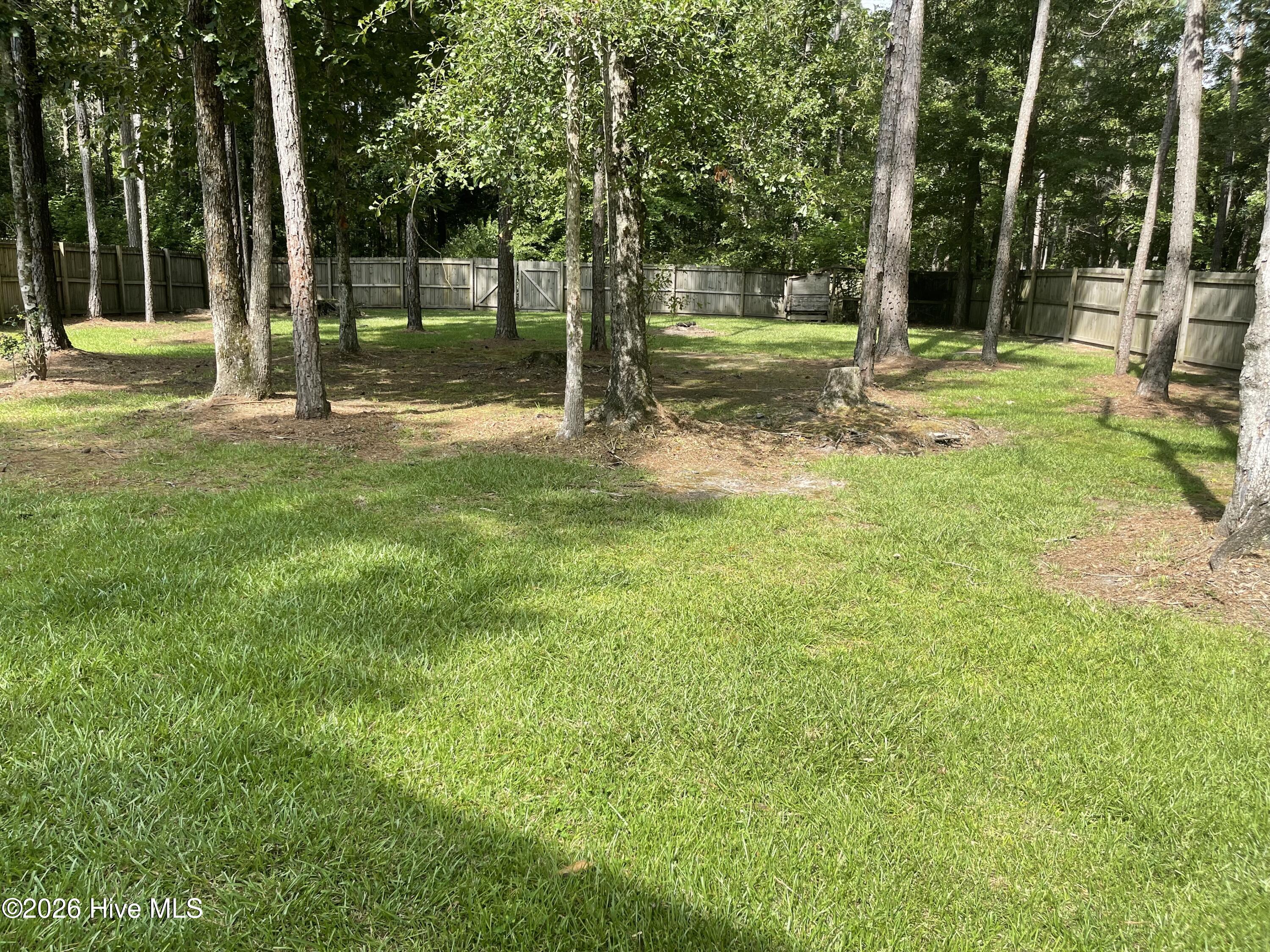 100562553 | Photo 53