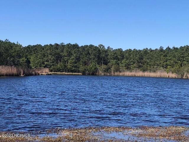 123 Dowry, Belhaven, North Carolina, 0 ,Residential land,For sale,Dowry,100366666