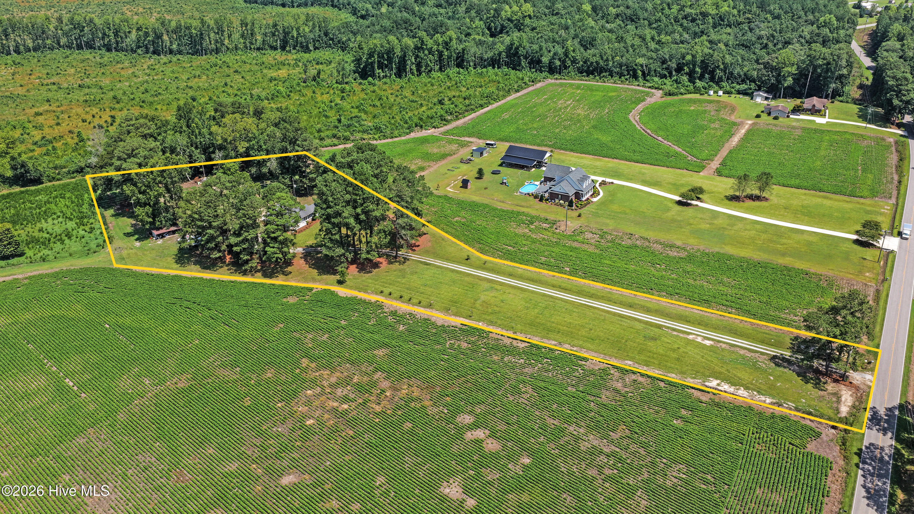 45th image of 3275 Horse Branch Rd, Willard, NC 28478 | MLS# 100598019
