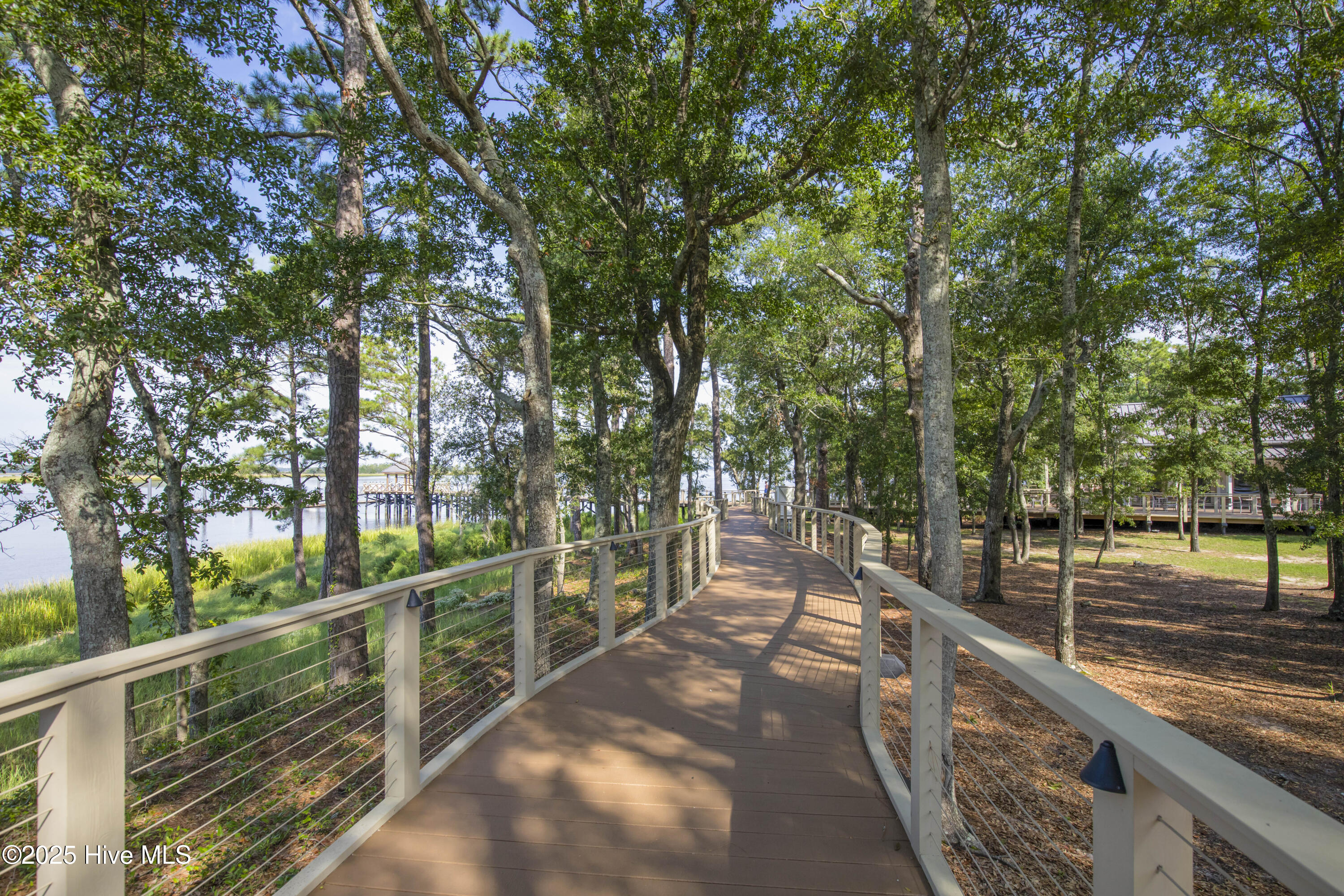 100528868 | Photo 39