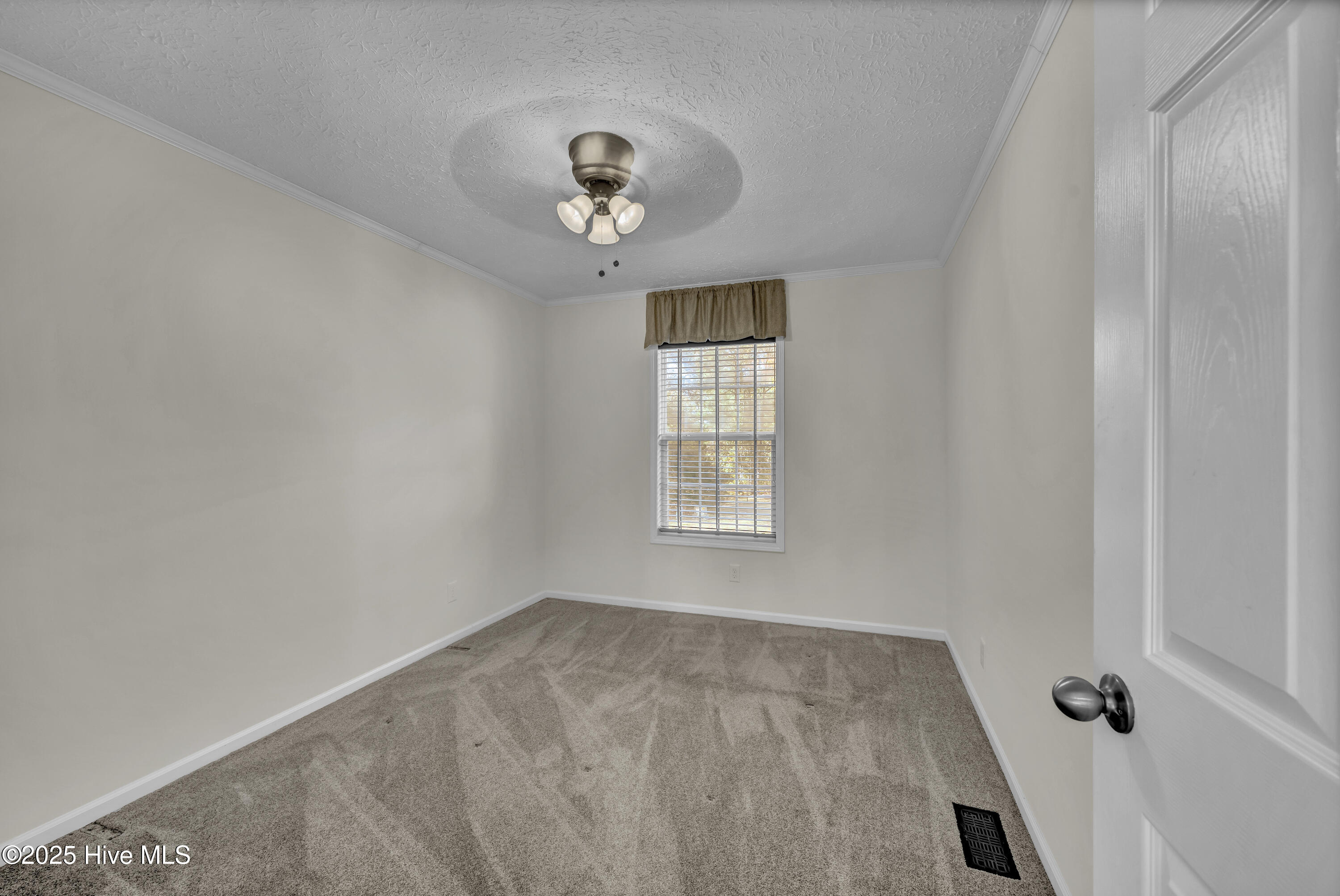 100540891 | Photo 16