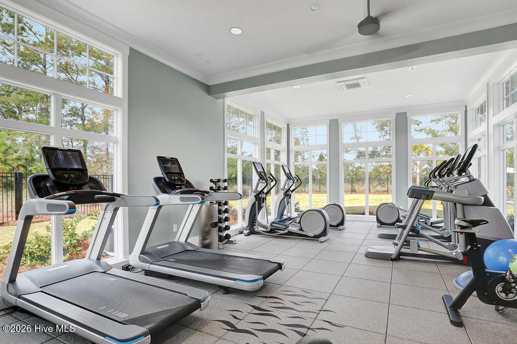 100565235 | Photo 115