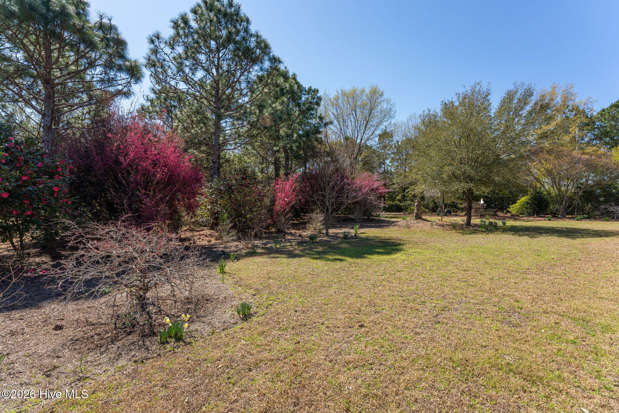 100552056 | Photo 89