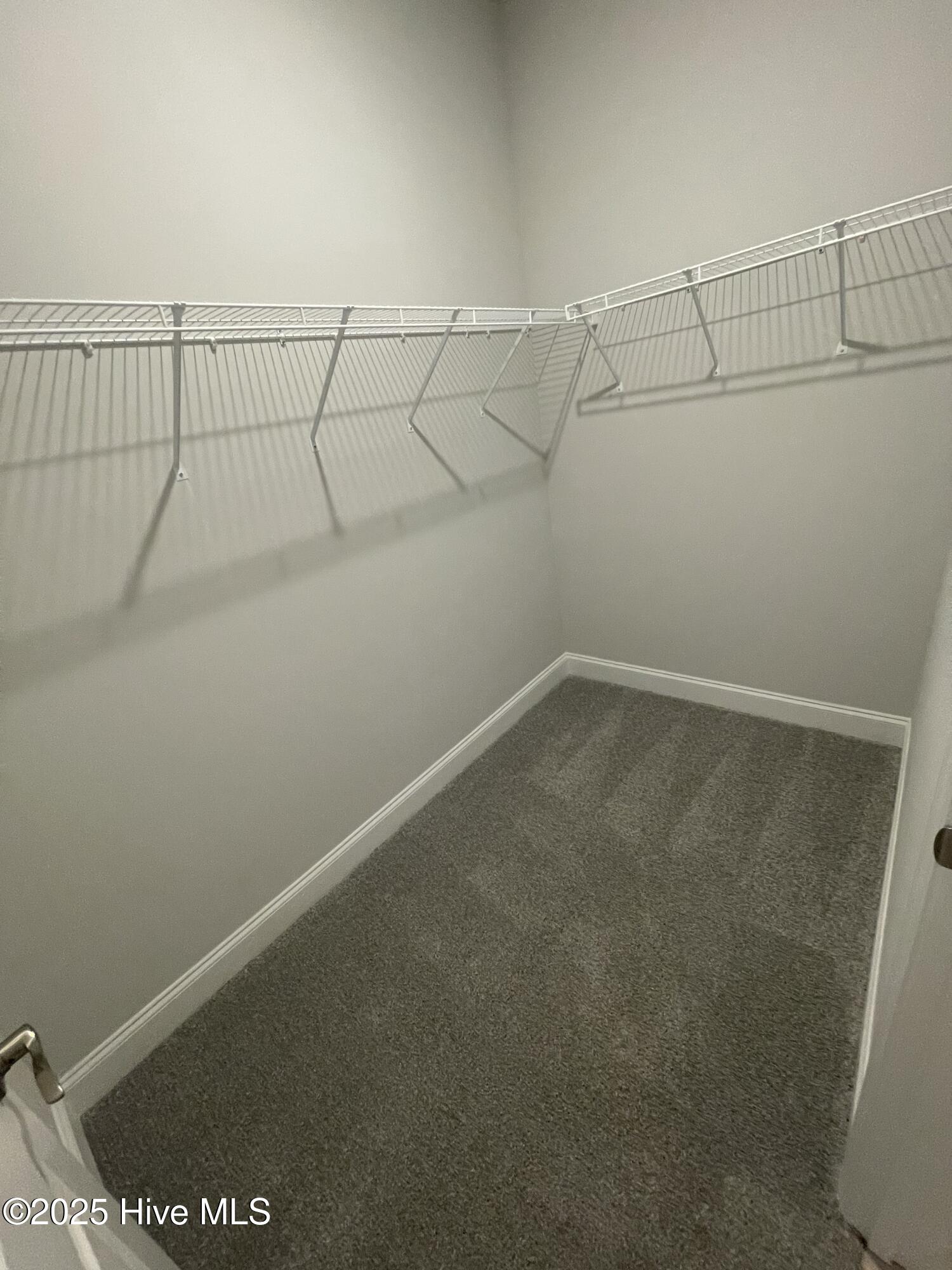 100522611 | Photo 50