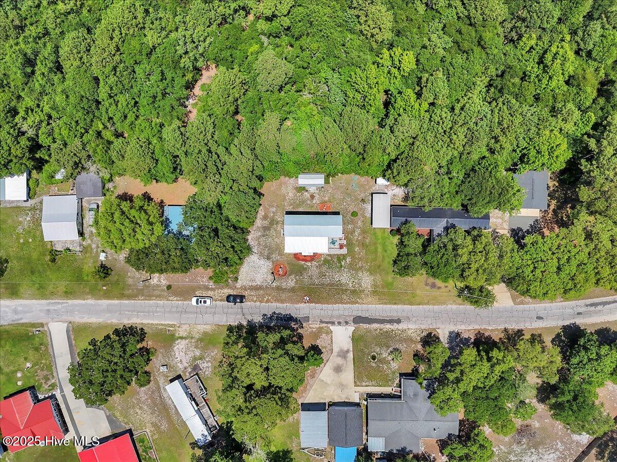 100515601 | Photo 15