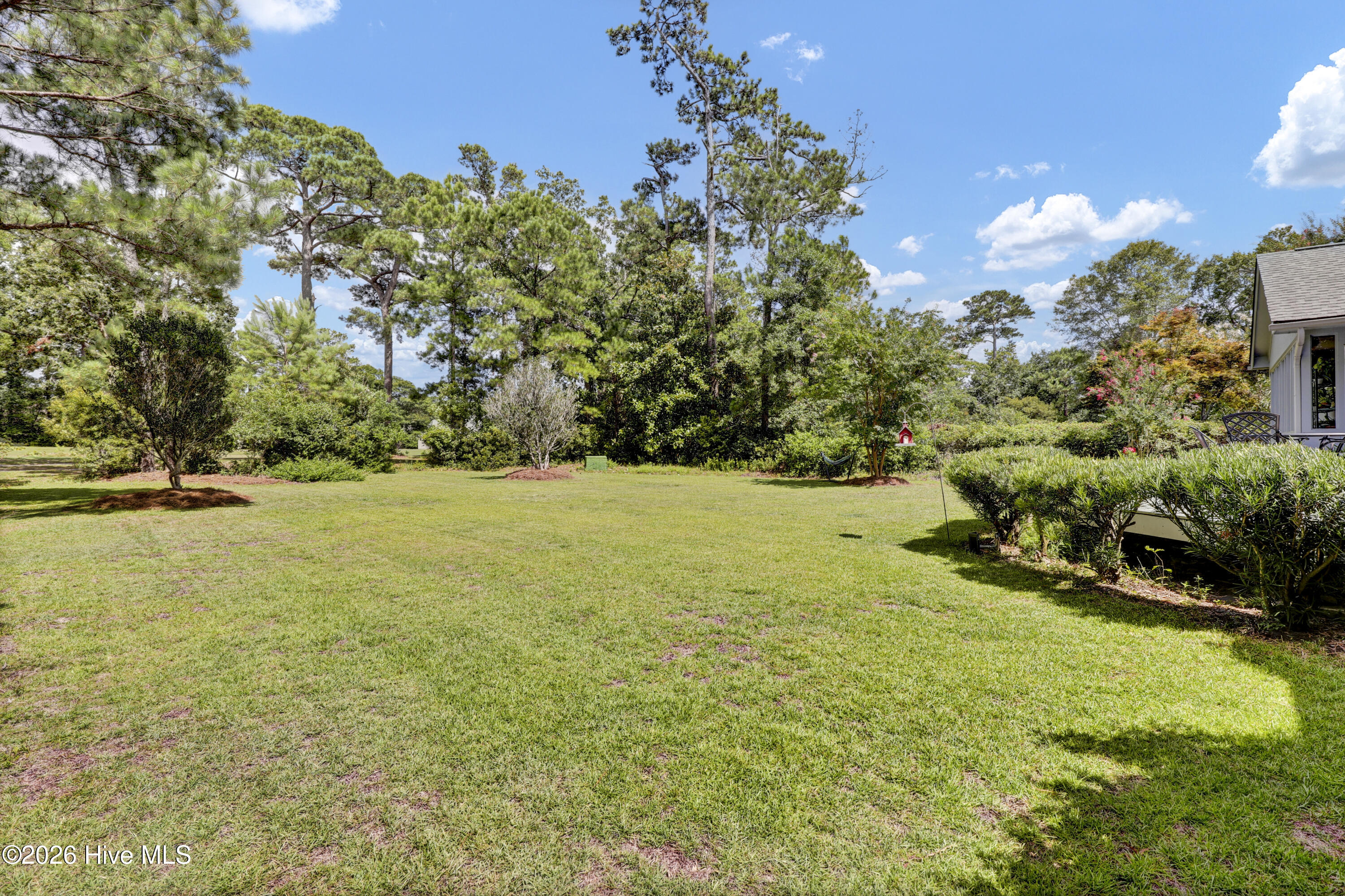 100570450 | Photo 31