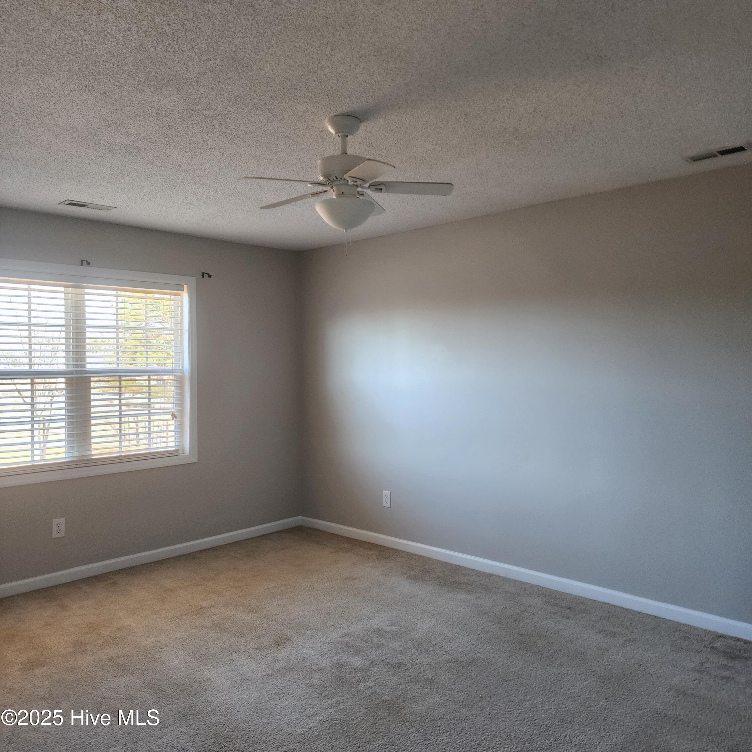 100546004 | Photo 21