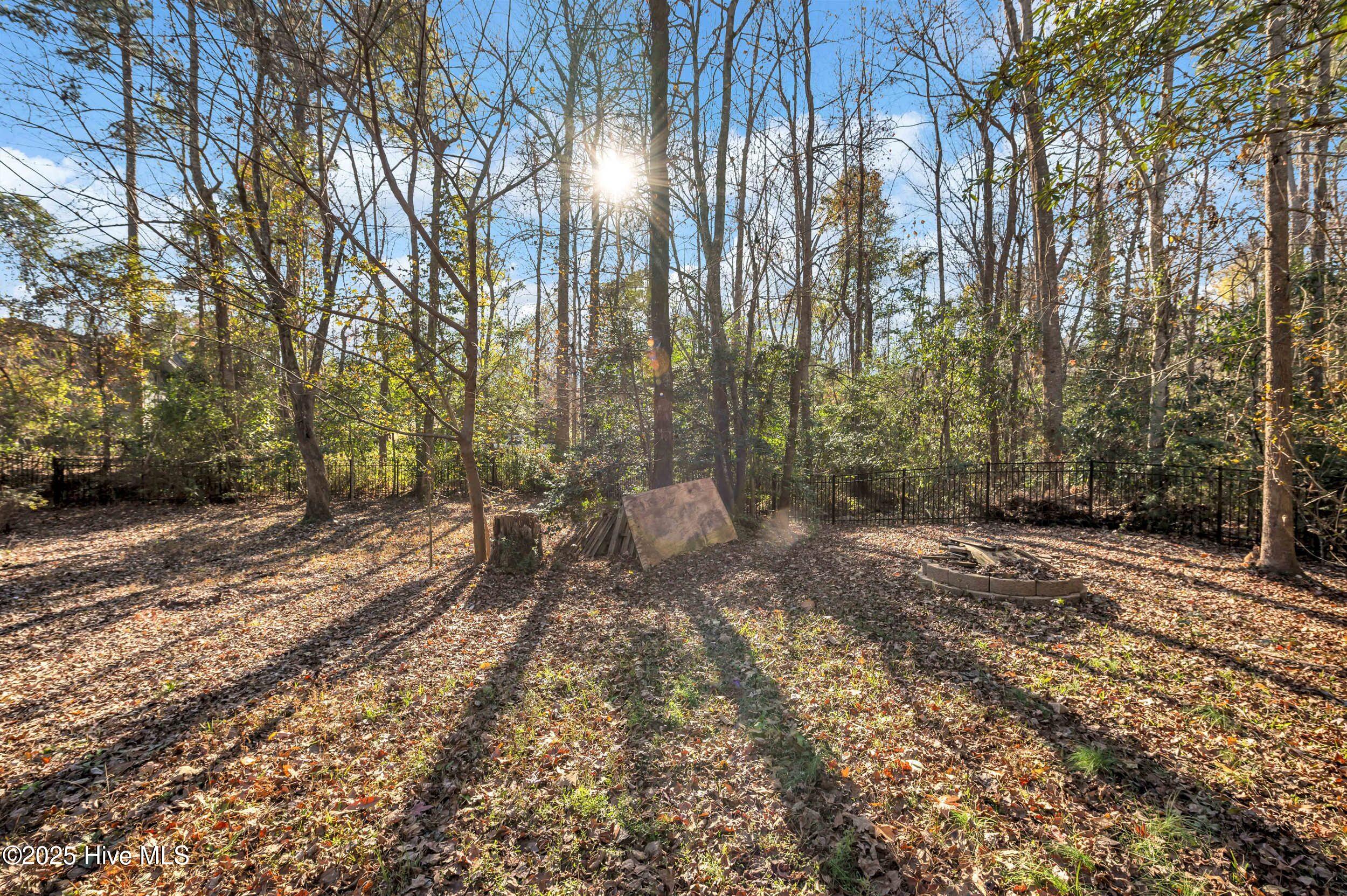 100548382 | Photo 39