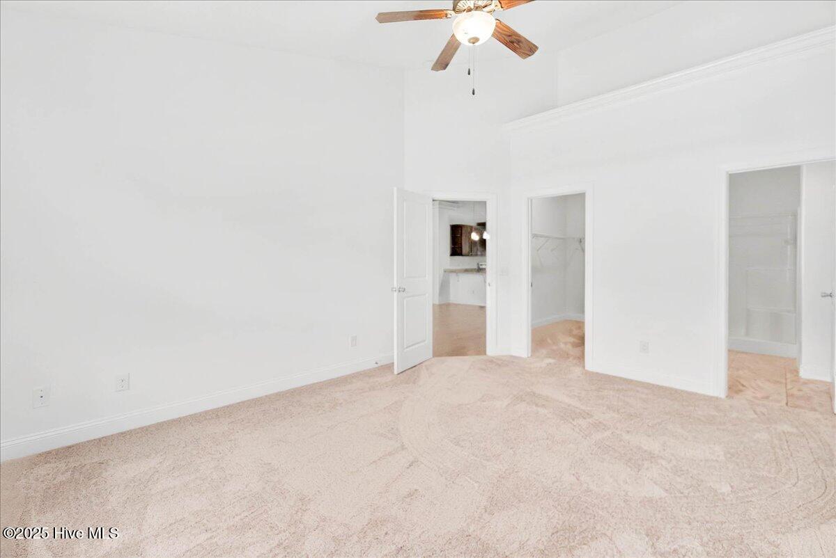 100521478 | Photo 18