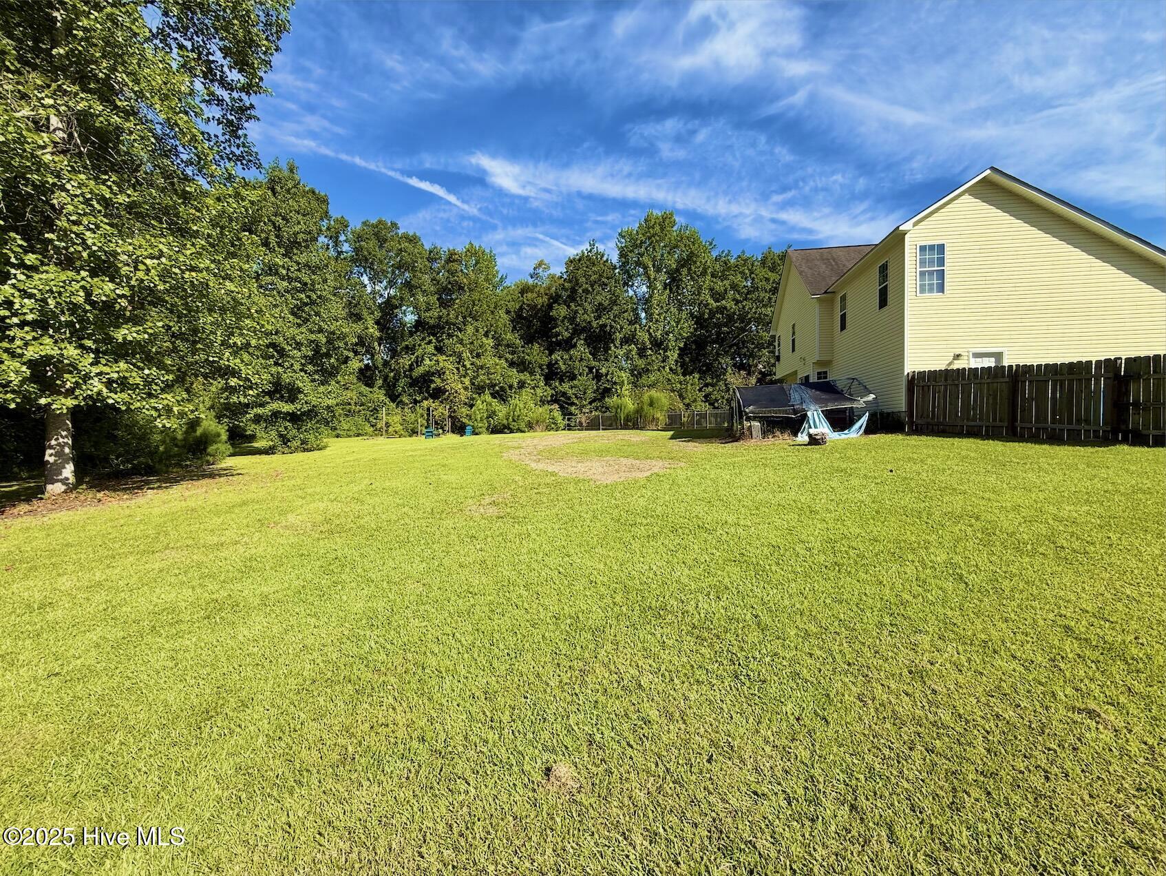 100528290 | Photo 39