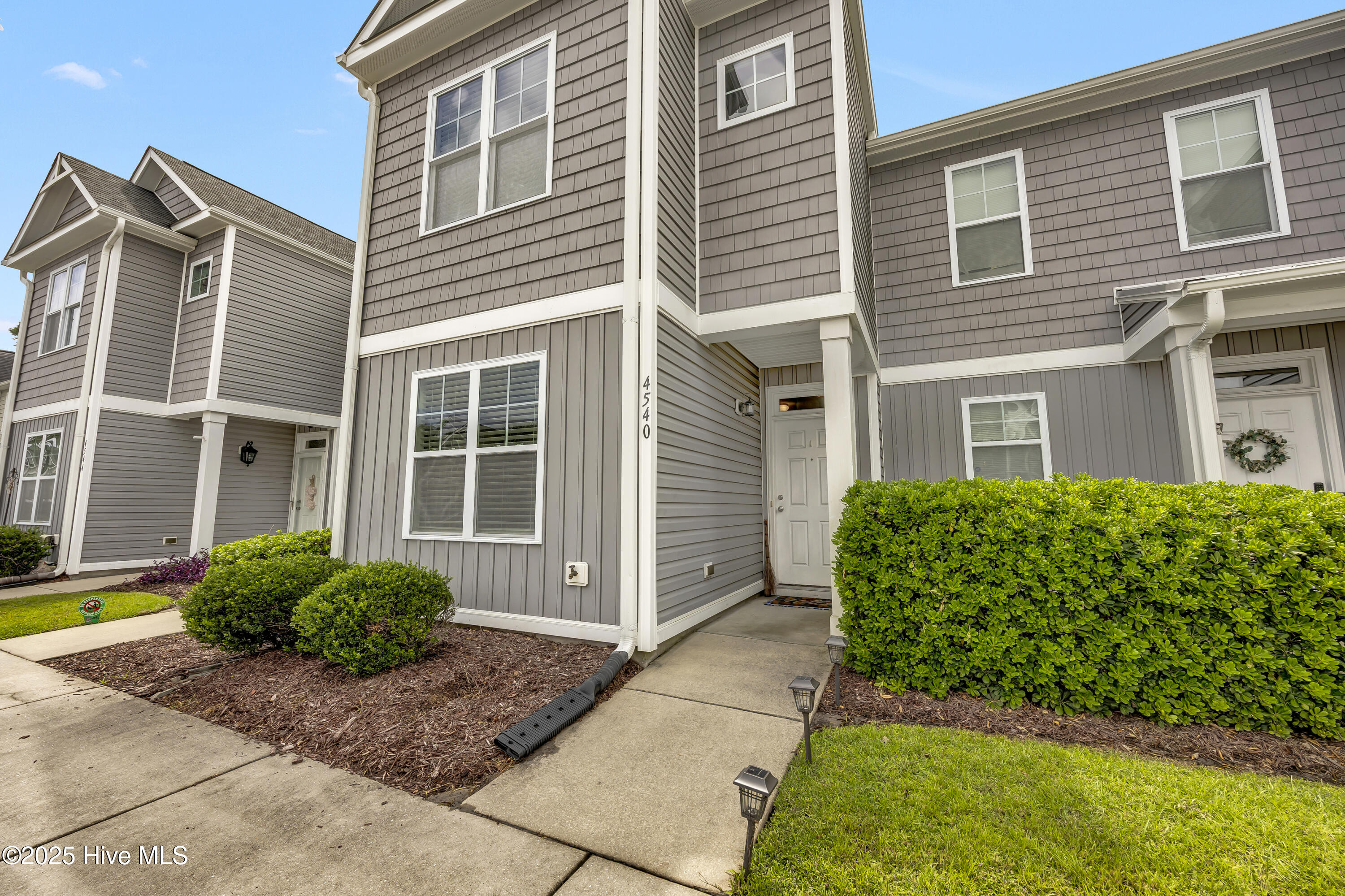 100525009 | Photo 20