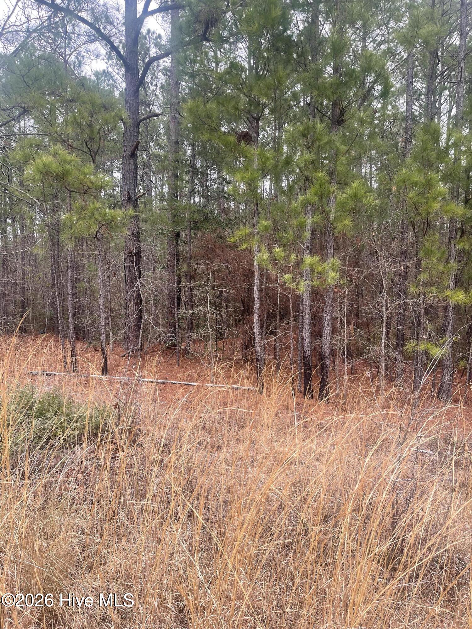 Exterior photo of Lot #6 6 Bumpy Lane, Sanford, NC 27332. MLS: 100590913
