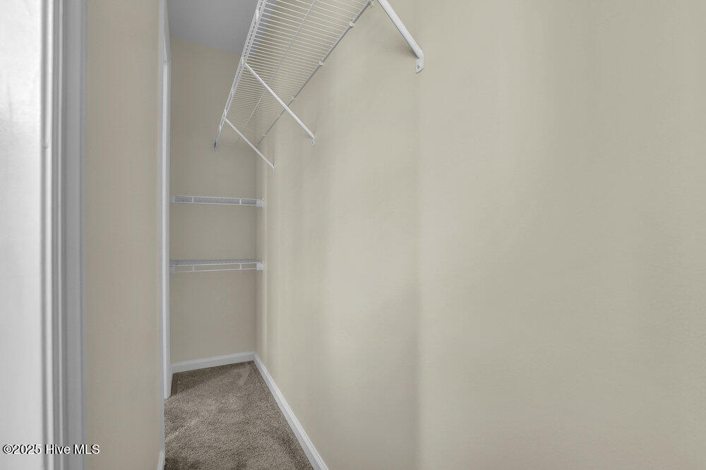 100546186 | Photo 29