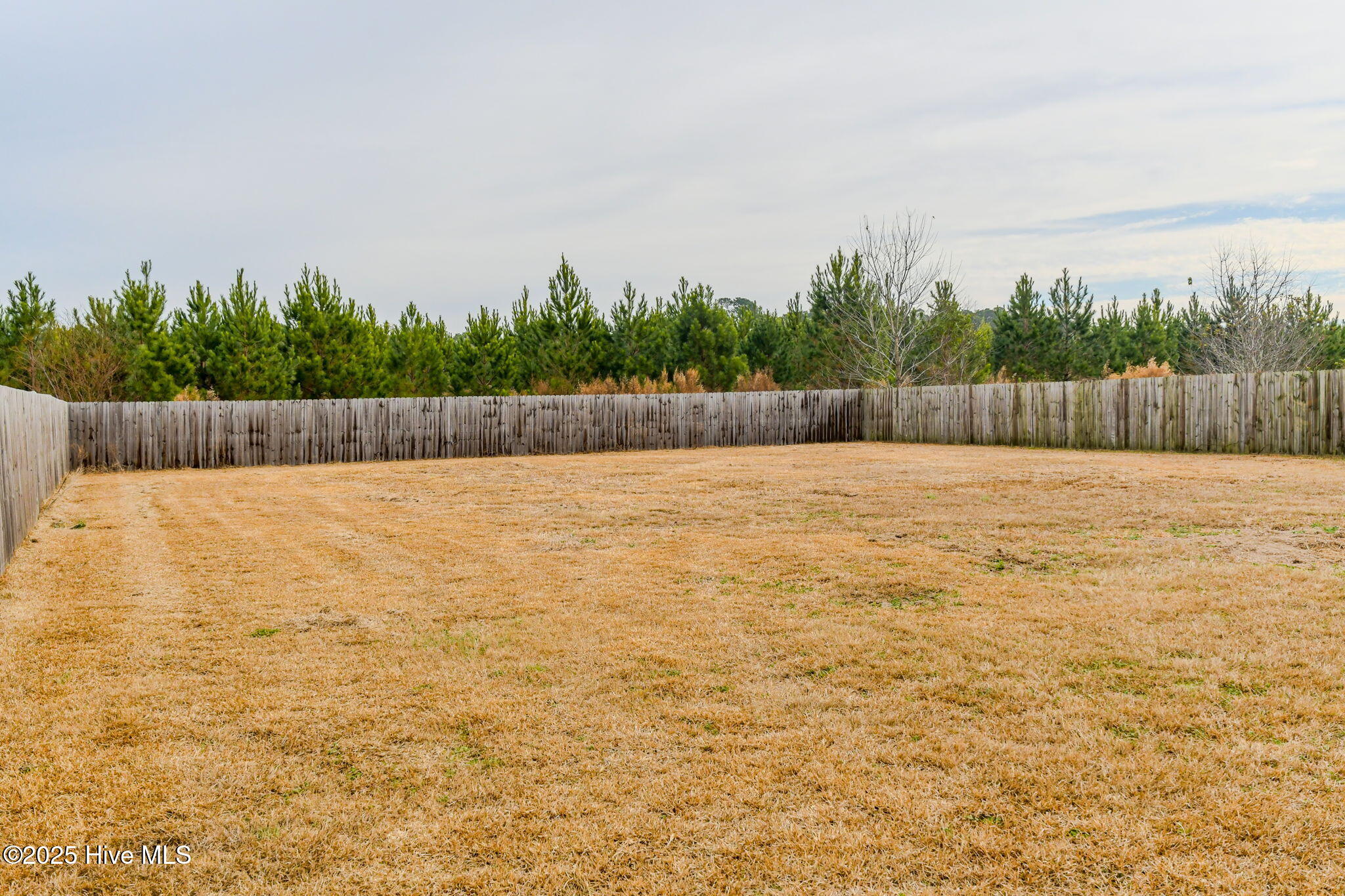 217 Wingspread Lane,Beulaville