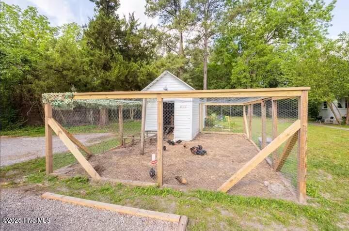 100557856 | Photo 14