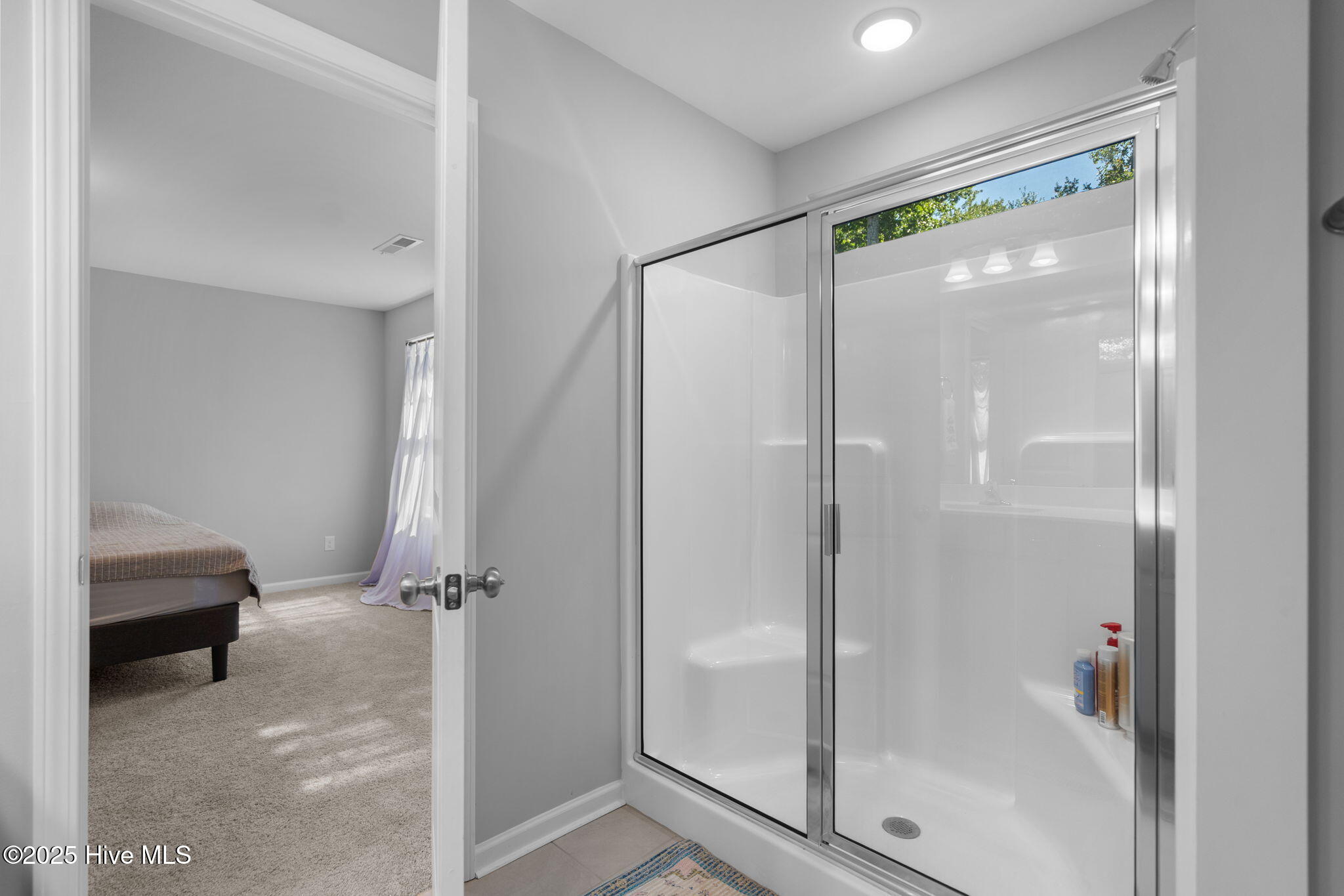 100528737 | Photo 33