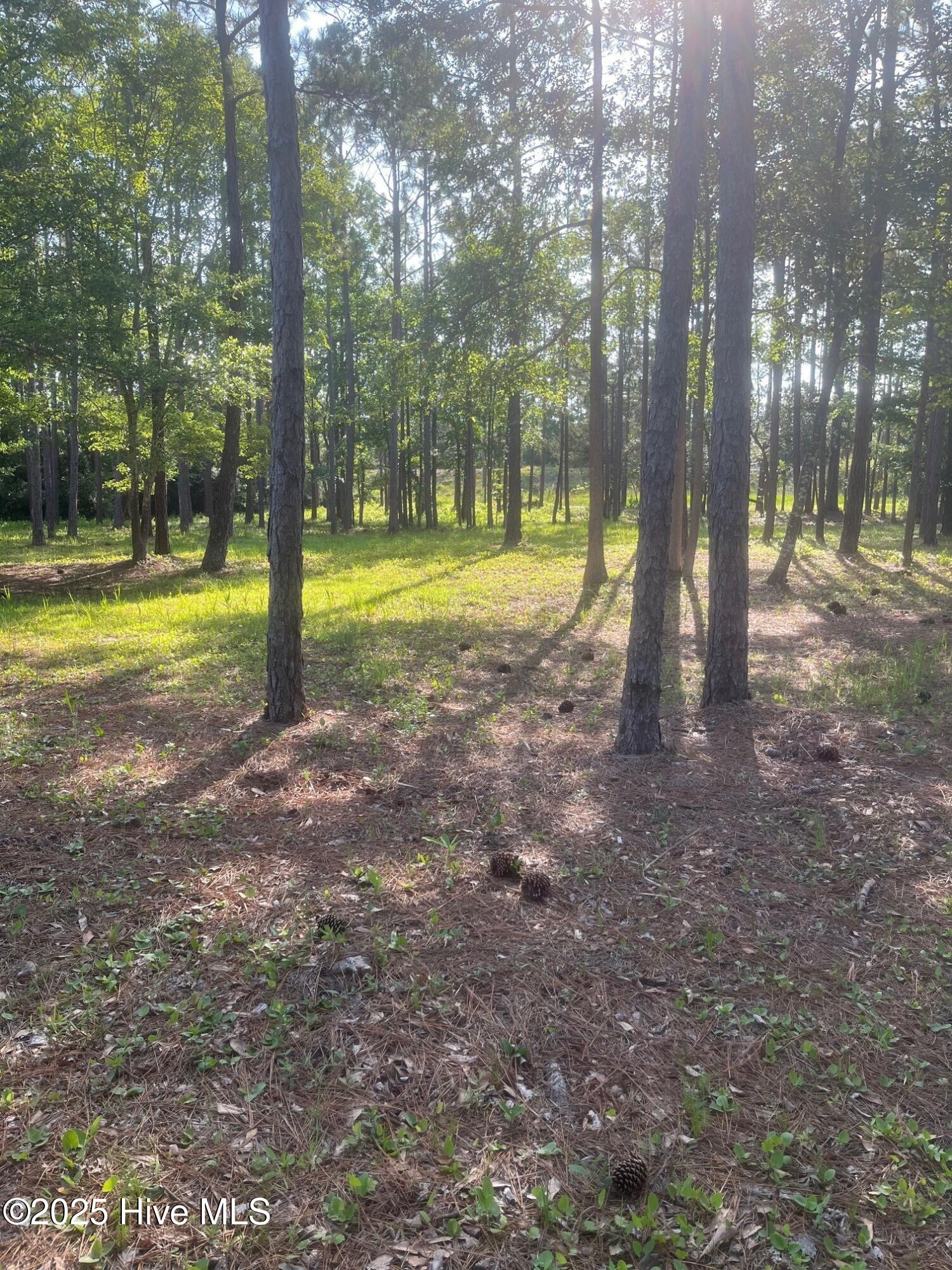 100512756 | Photo 58