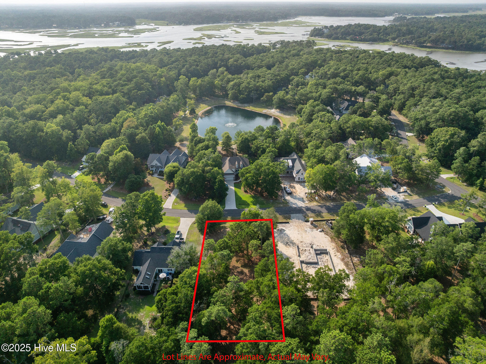 100518785 | Photo 11