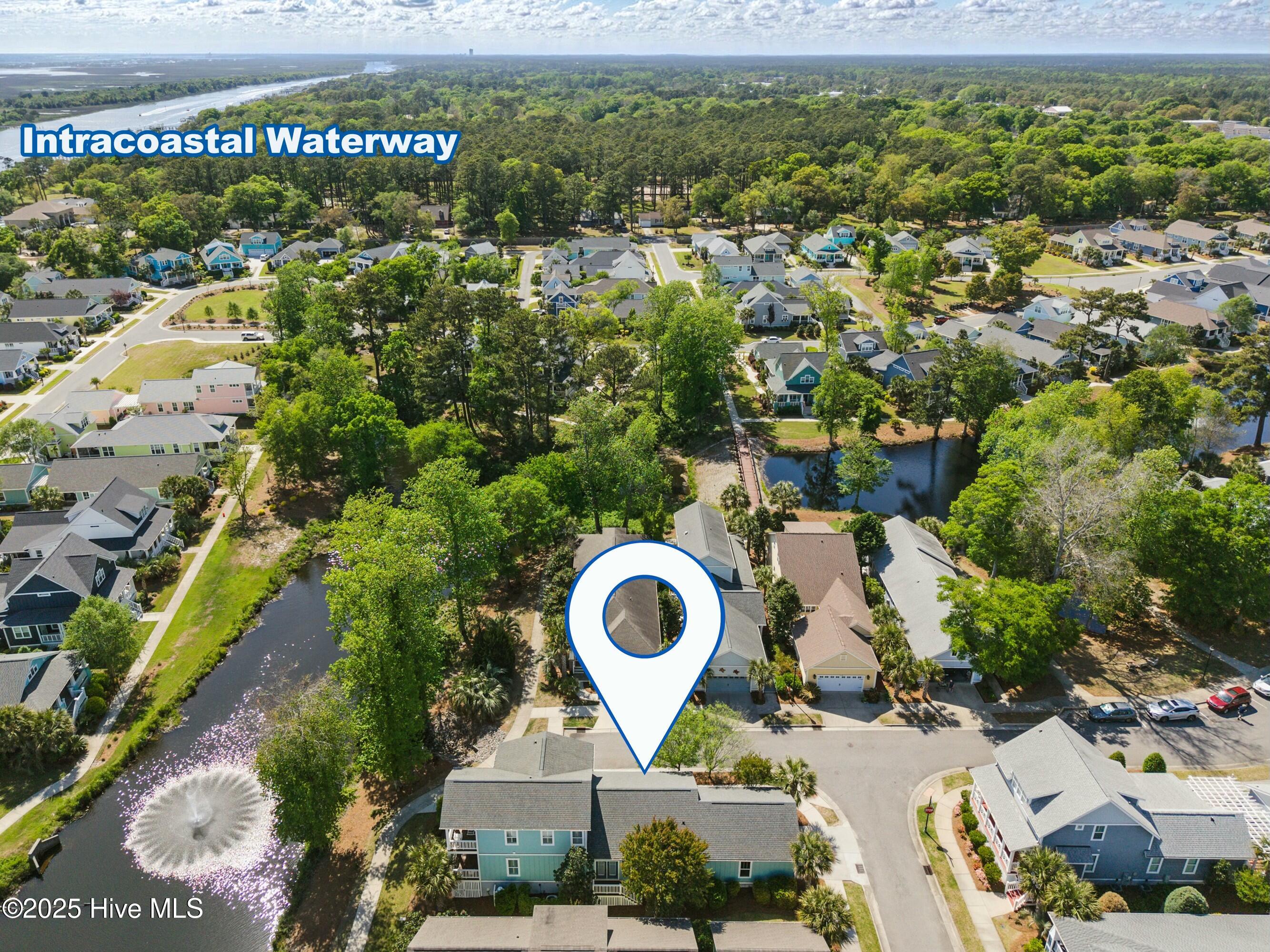 100503387 | Photo 53