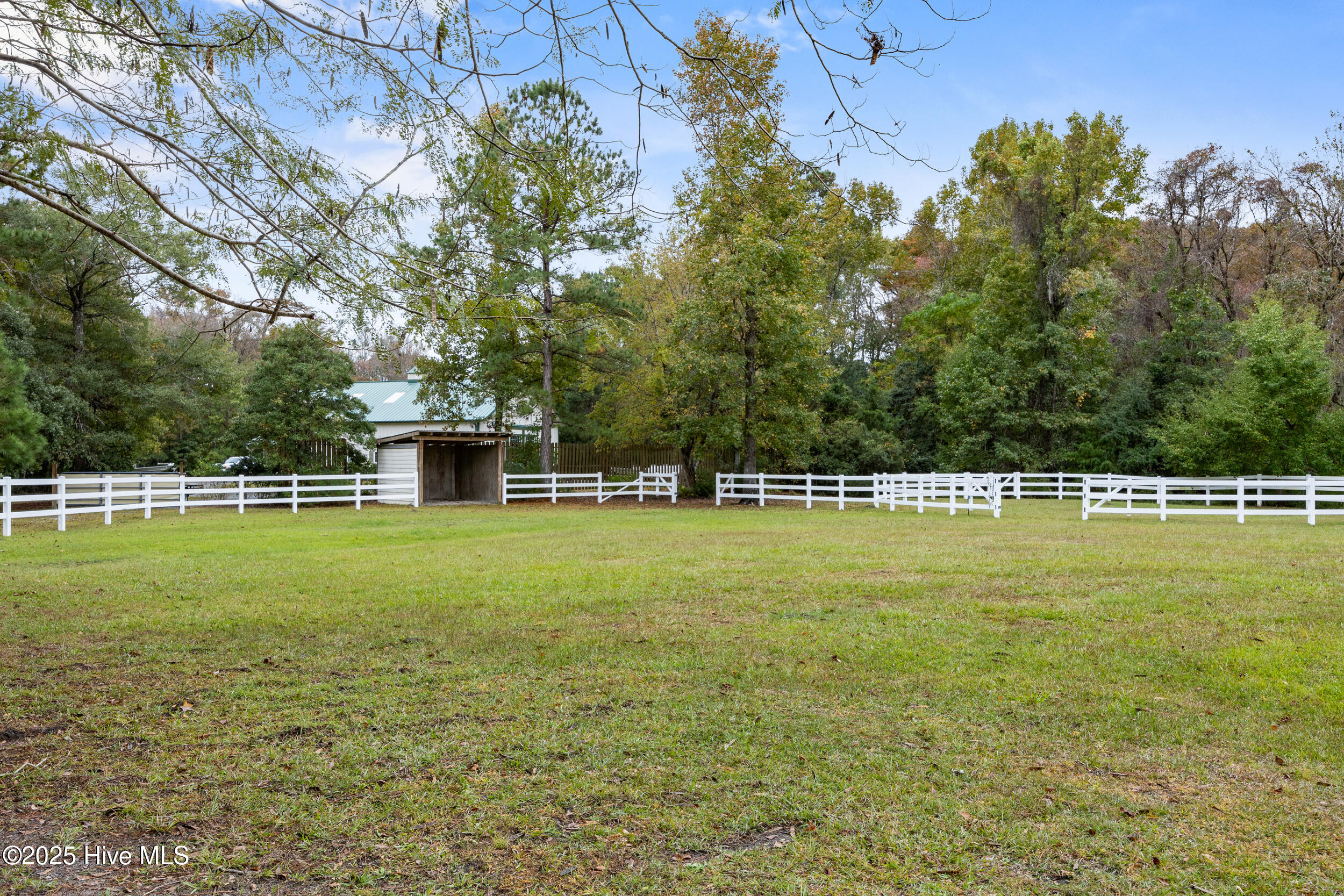 100538720 | Photo 89