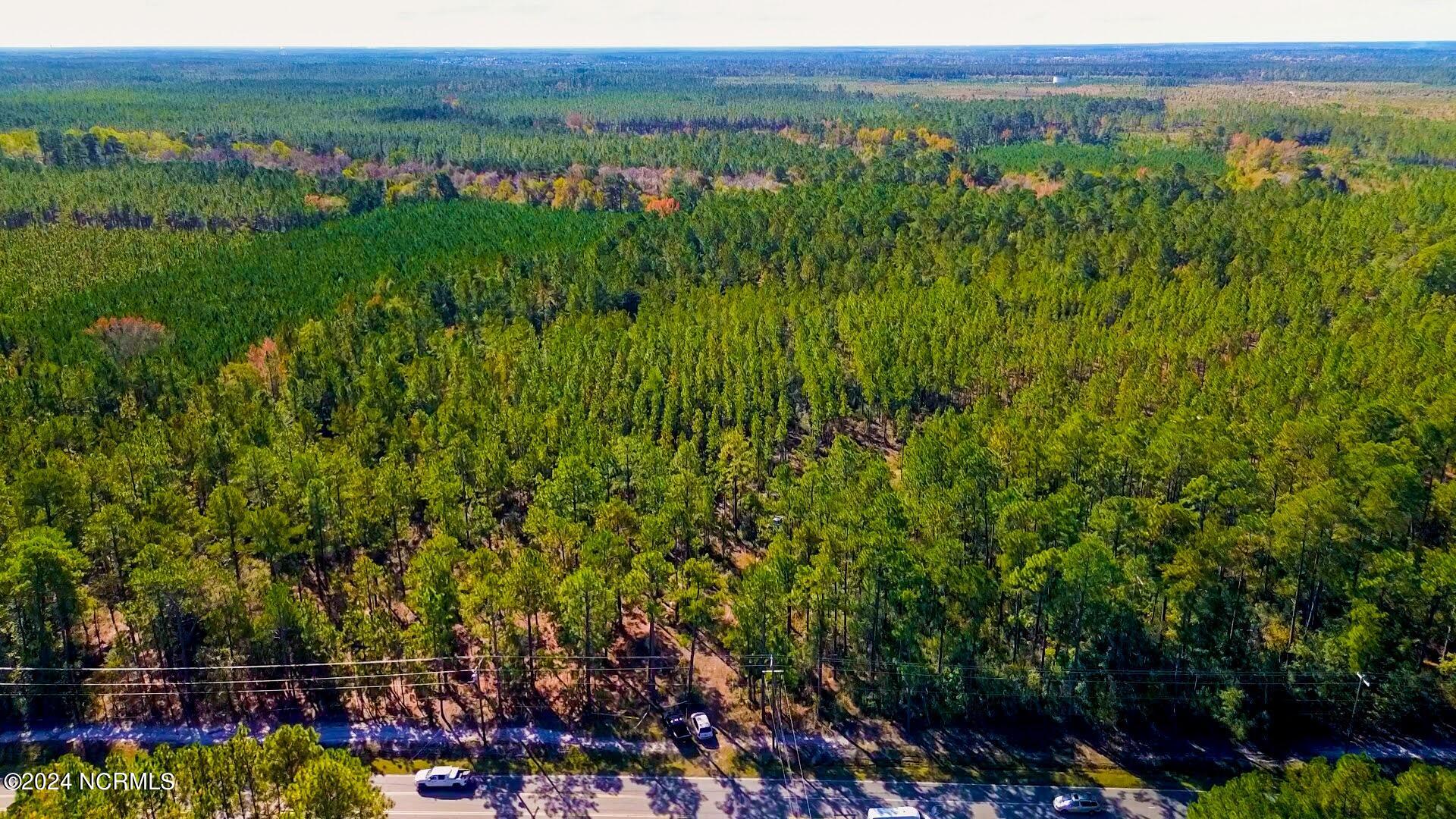 100429451 | Photo 12